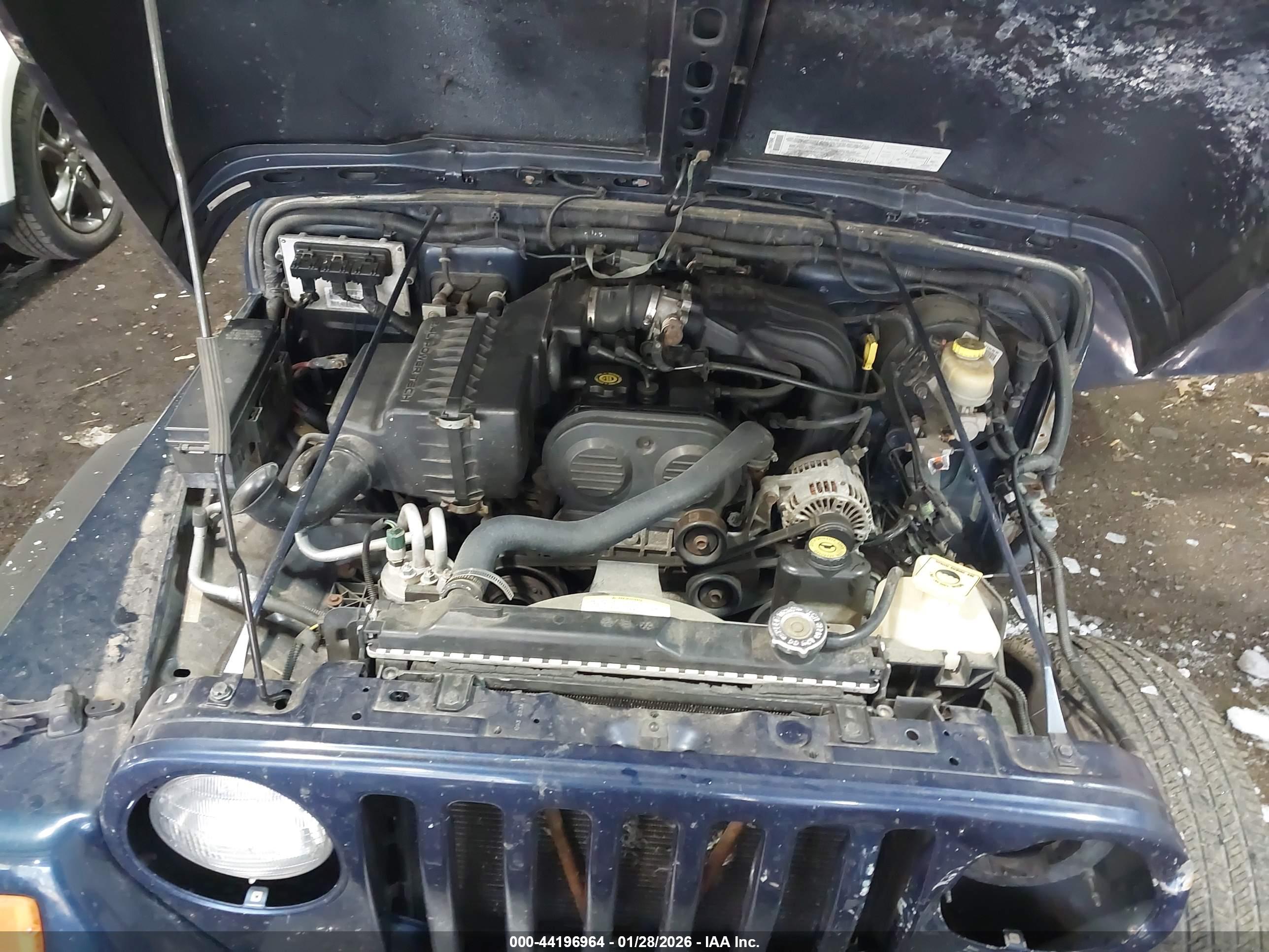 JEEP WRANGLER image 10