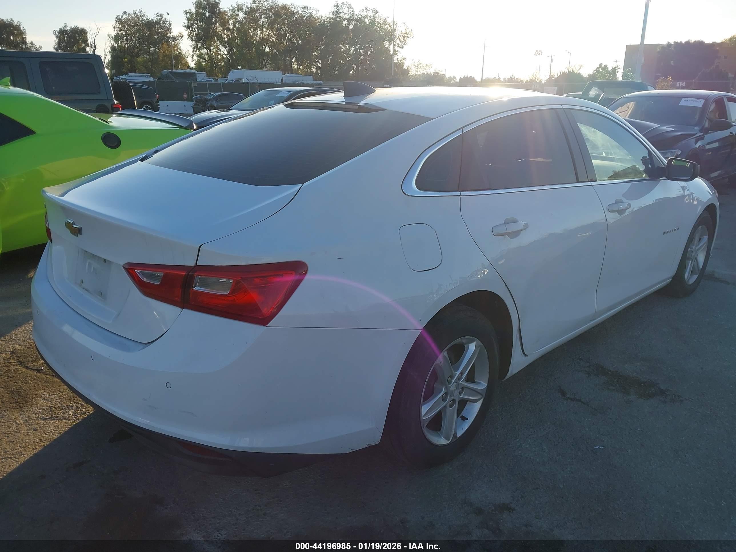 CHEVROLET MALIBU image 4