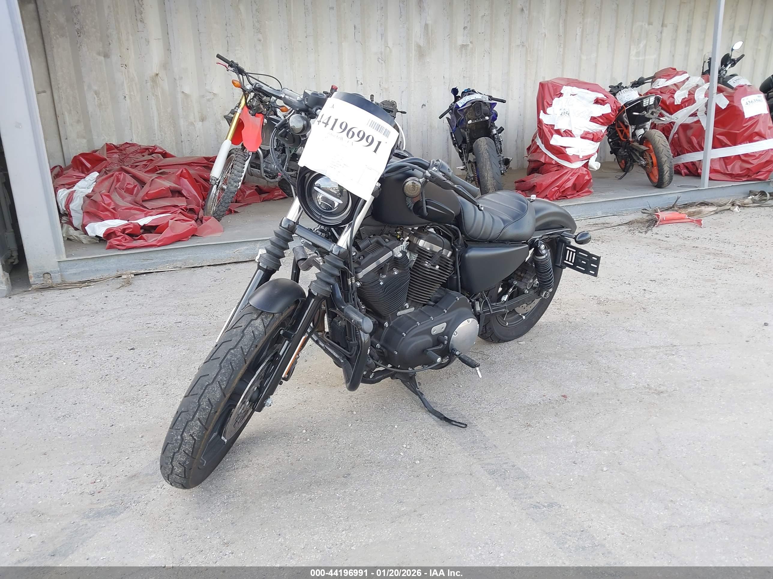 HARLEY-DAVIDSON XL883 image 2