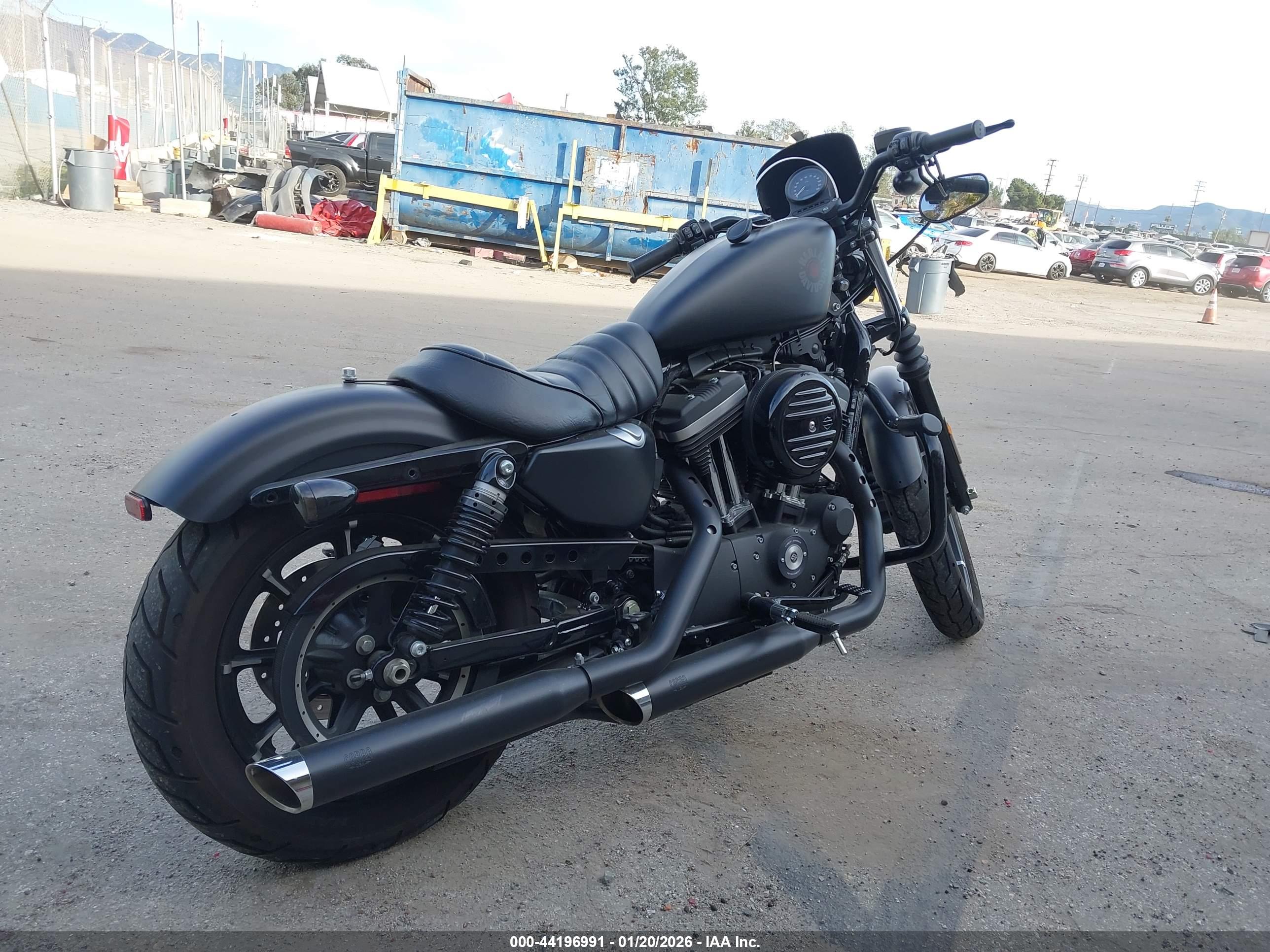 HARLEY-DAVIDSON XL883 image 4