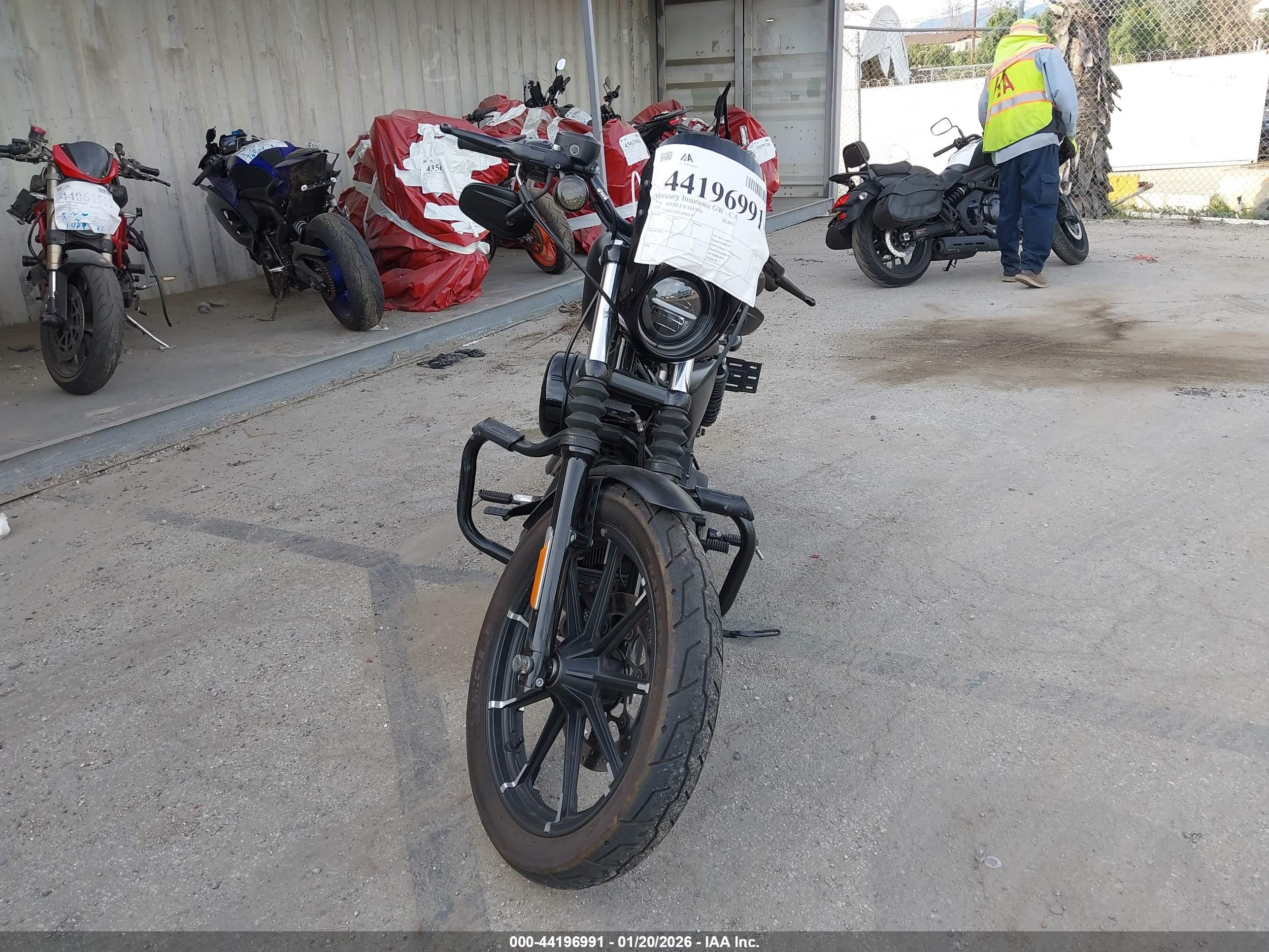 HARLEY-DAVIDSON XL883 image 5