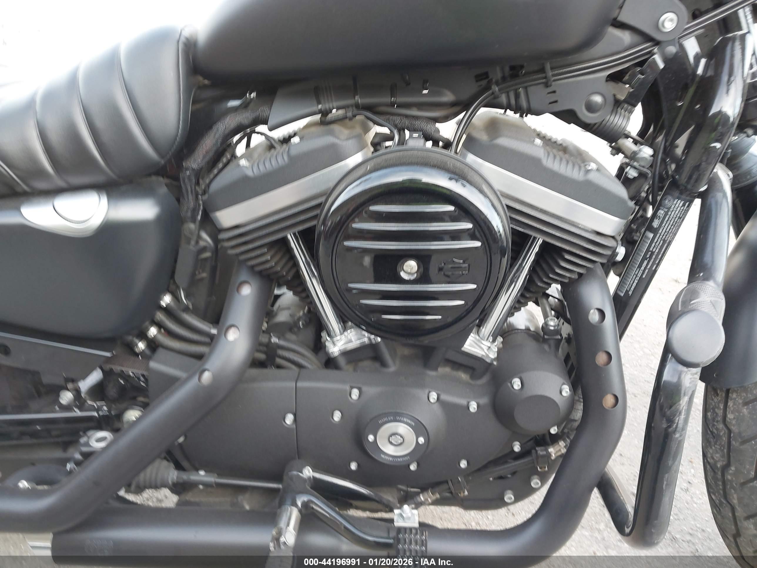 HARLEY-DAVIDSON XL883 image 8