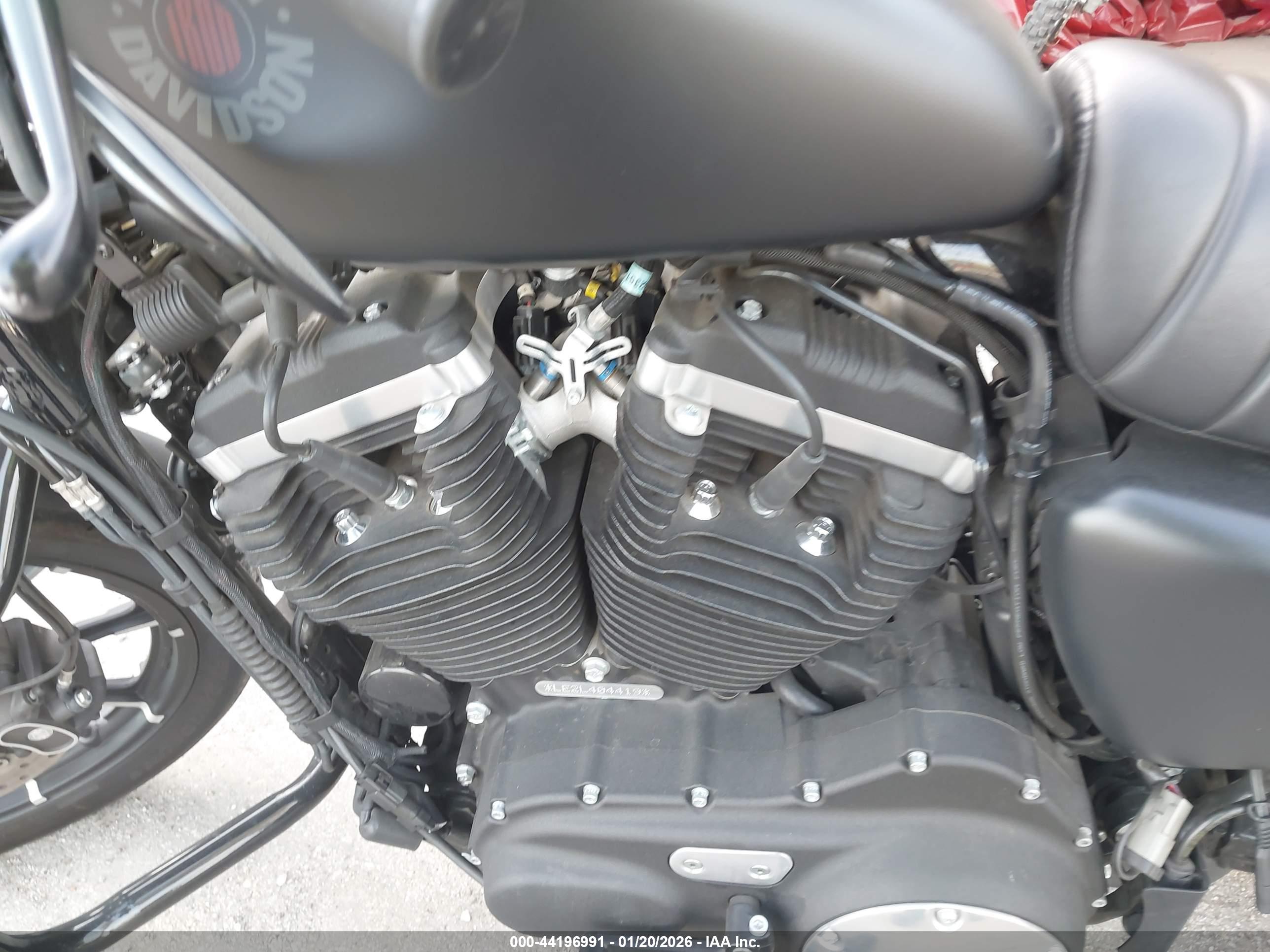 HARLEY-DAVIDSON XL883 image 9