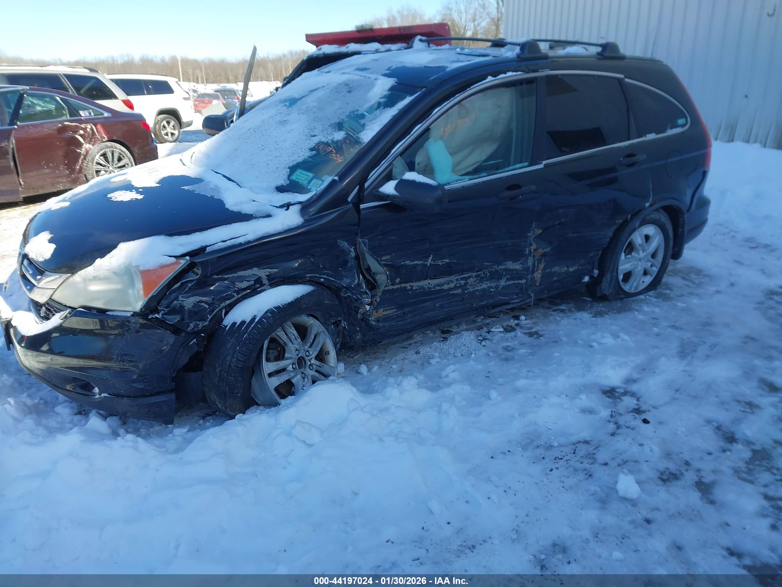 HONDA CR-V image 6