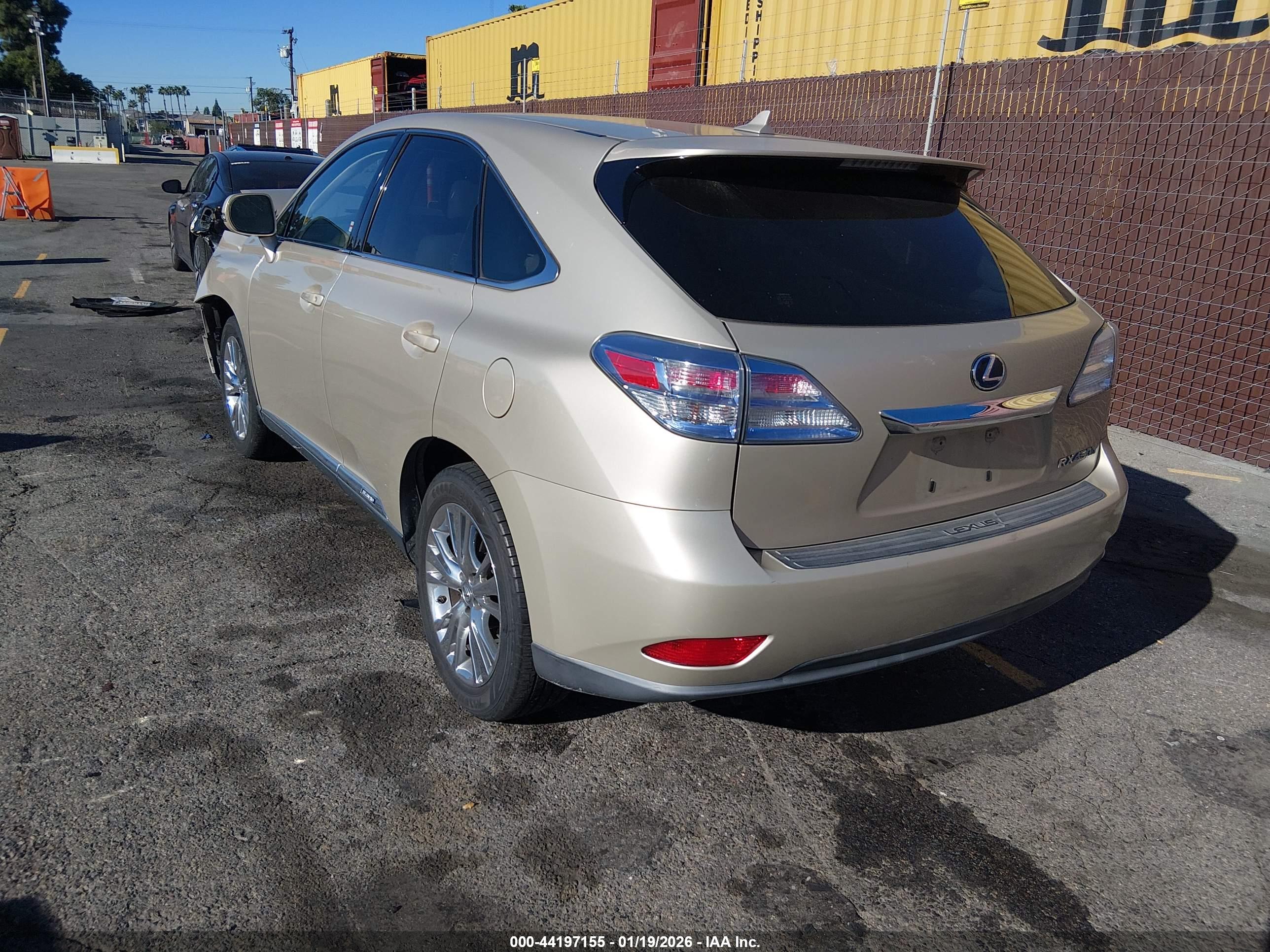LEXUS RX image 3