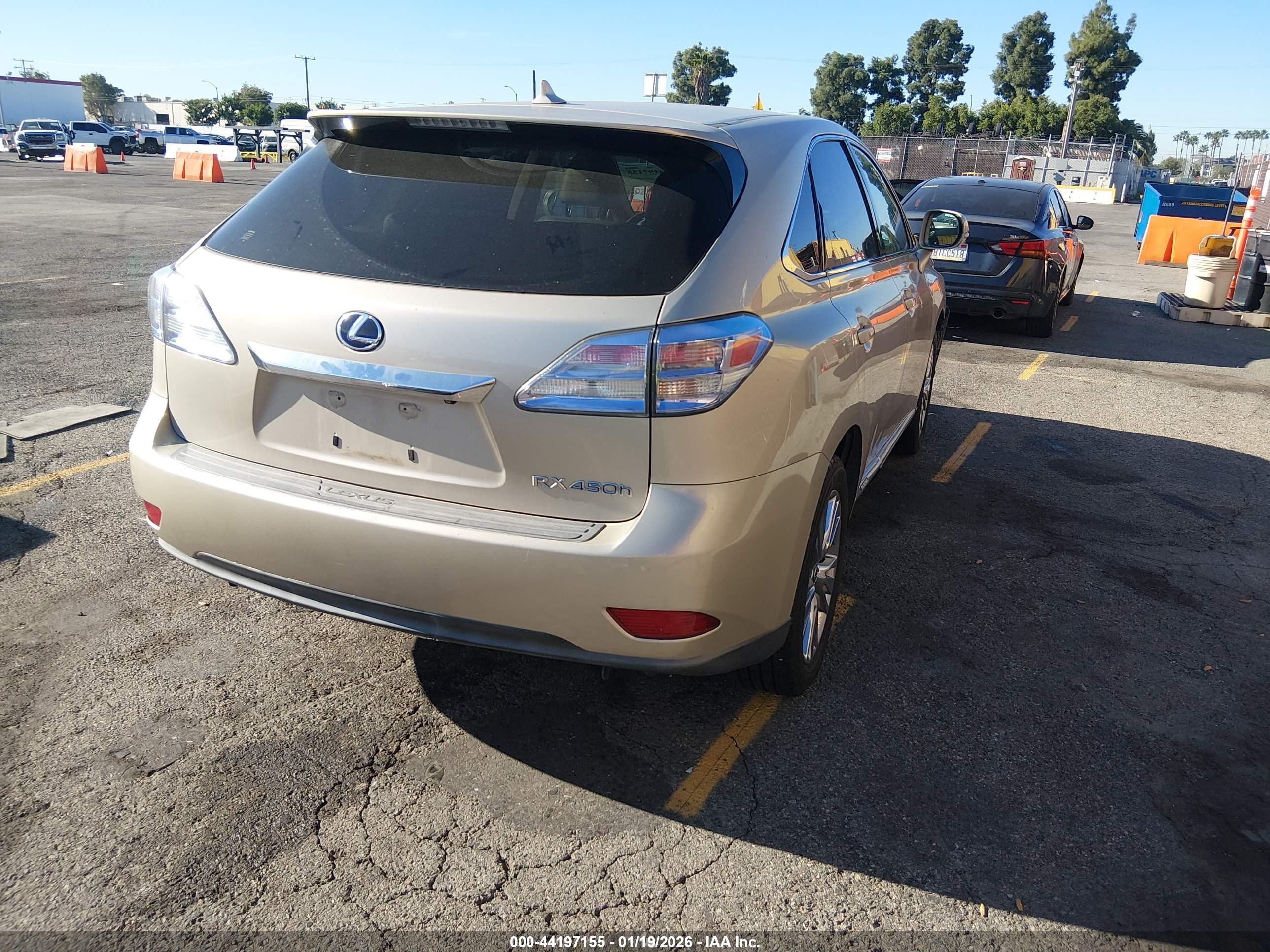 LEXUS RX image 4