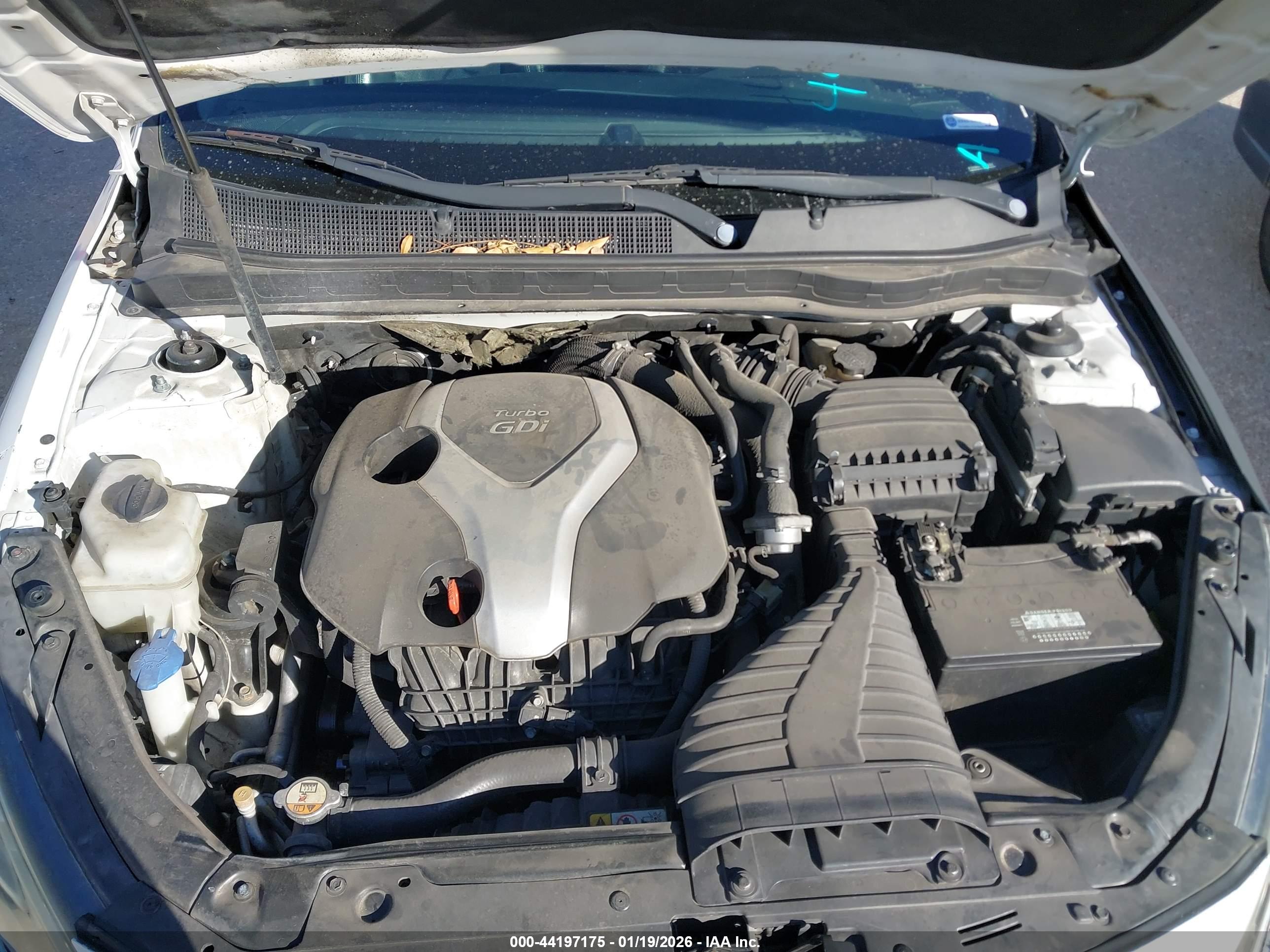 KIA OPTIMA image 10