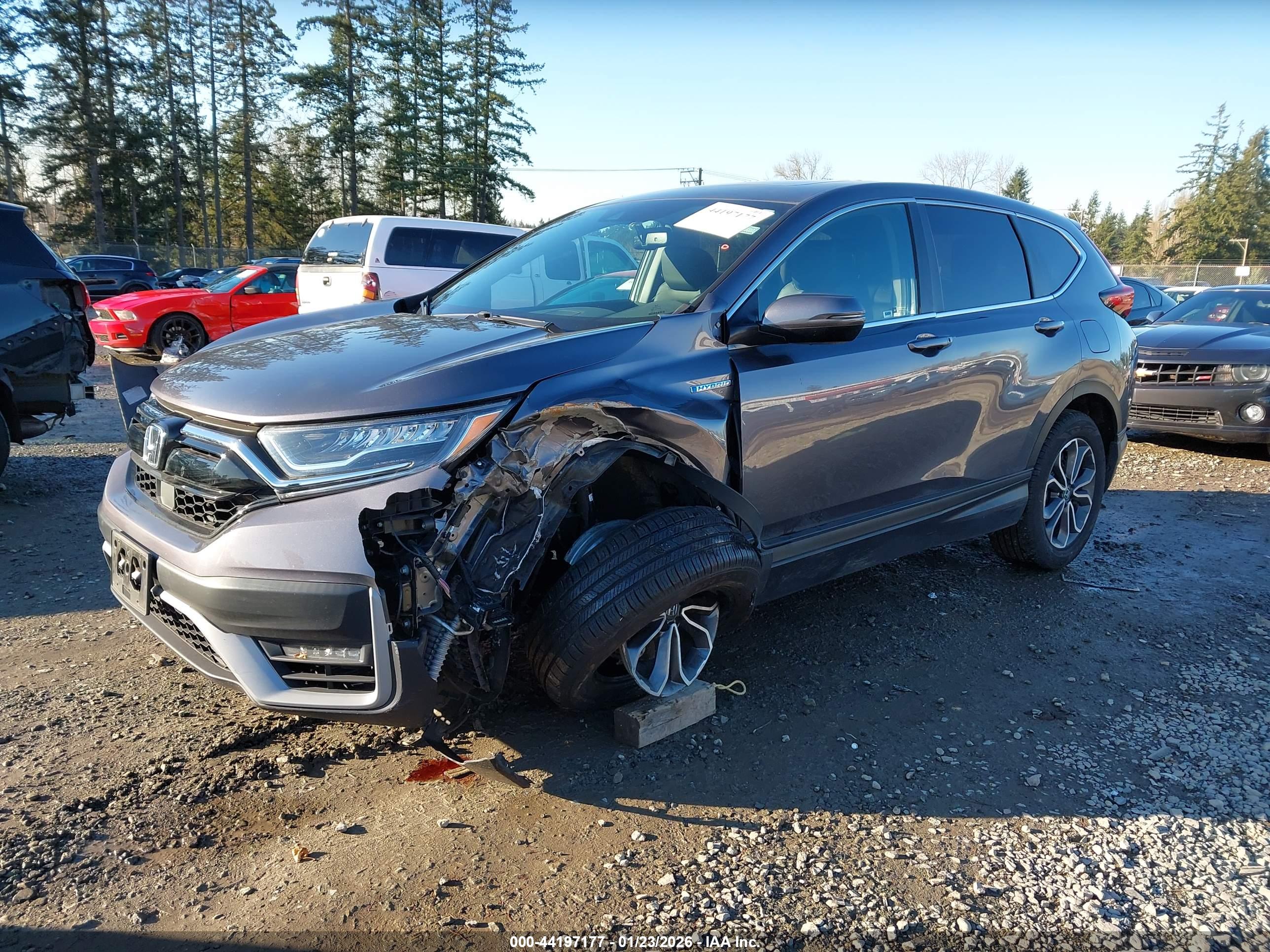 HONDA CR-V image 2