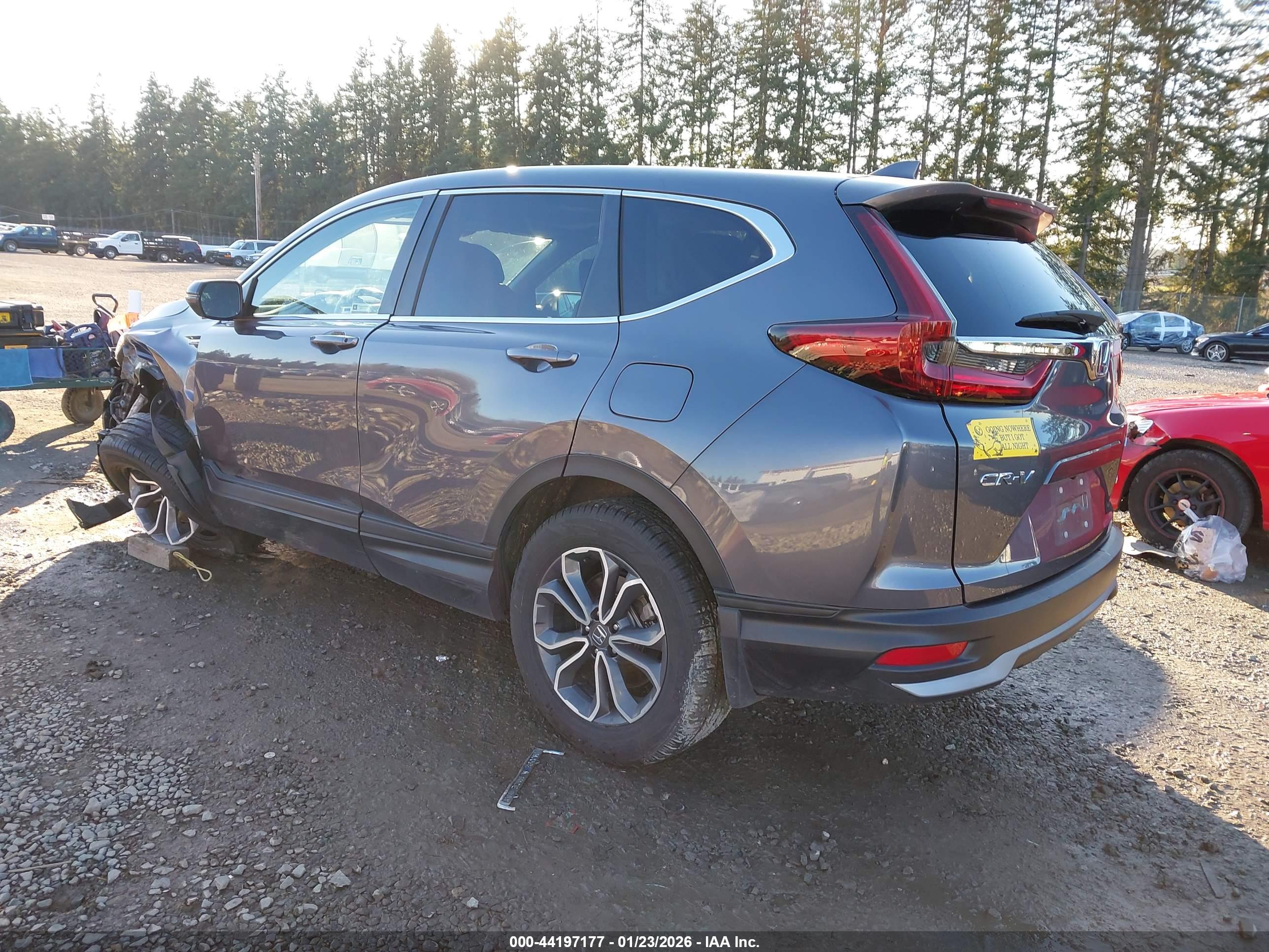 HONDA CR-V image 3