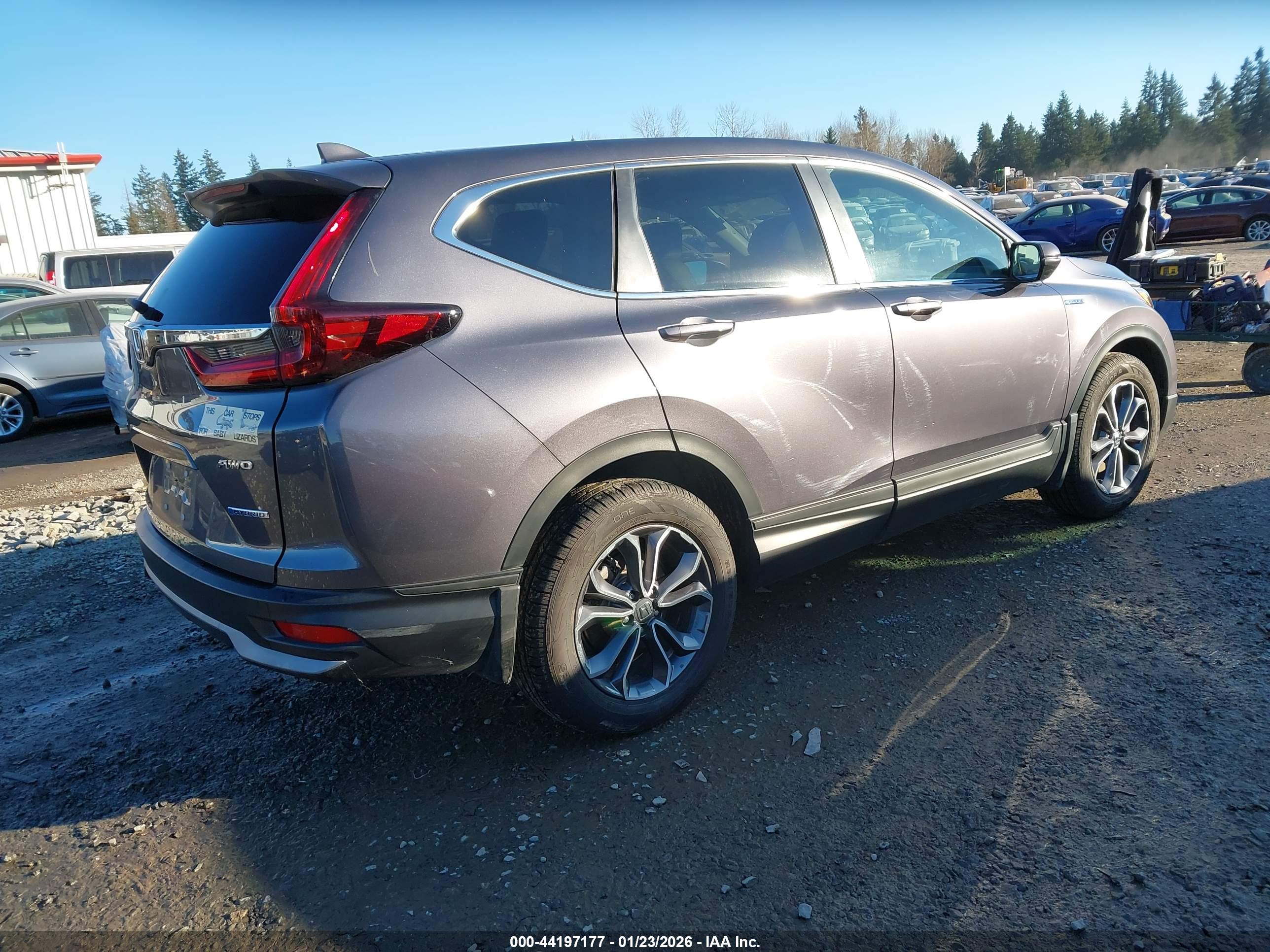 HONDA CR-V image 4