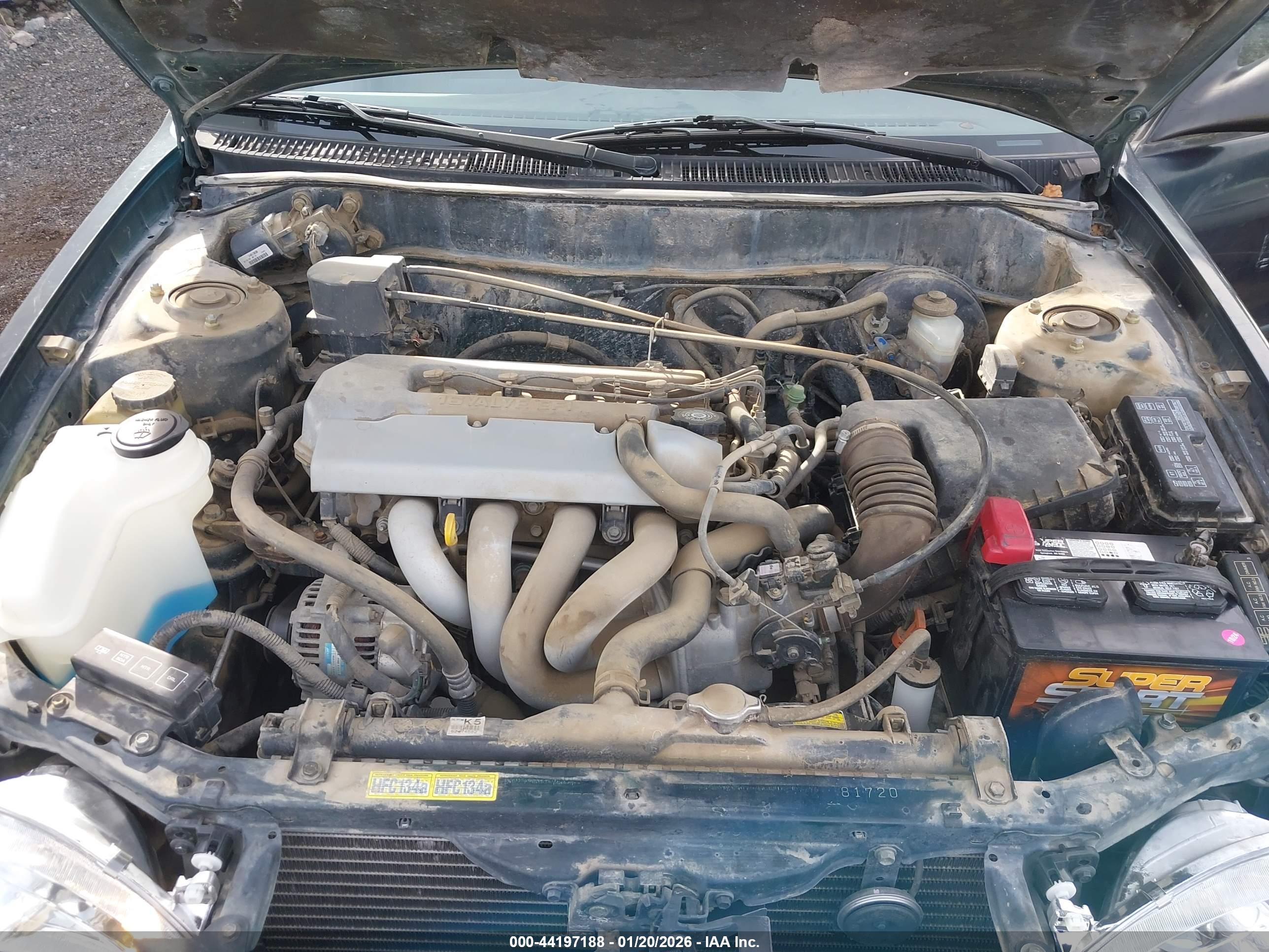TOYOTA COROLLA image 10