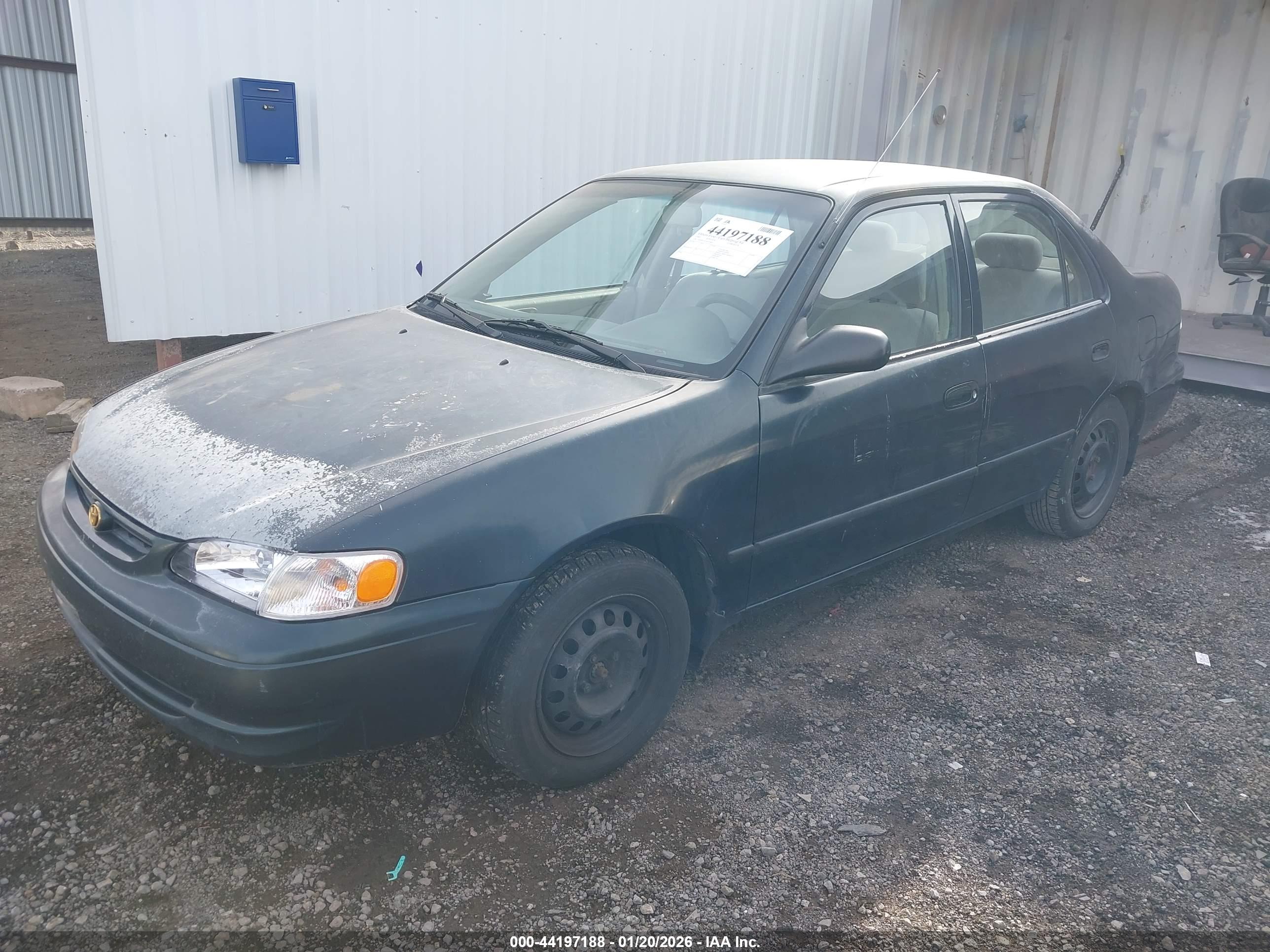 TOYOTA COROLLA image 2