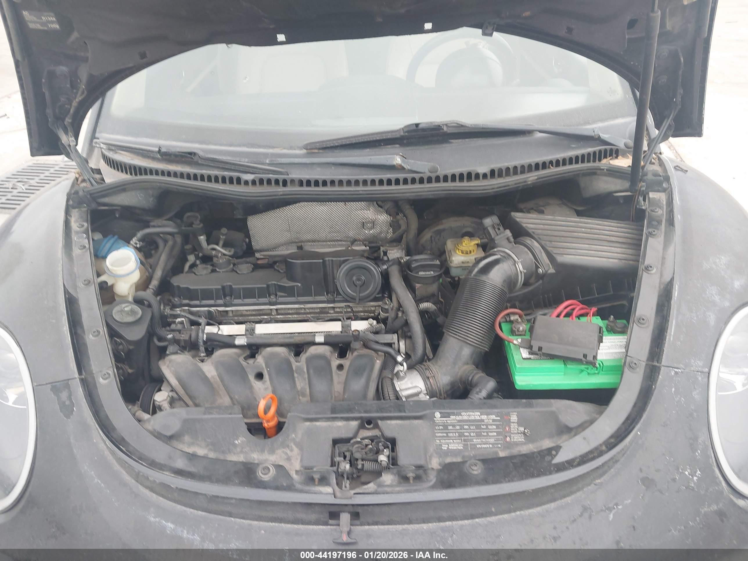 VOLKSWAGEN NEW image 10