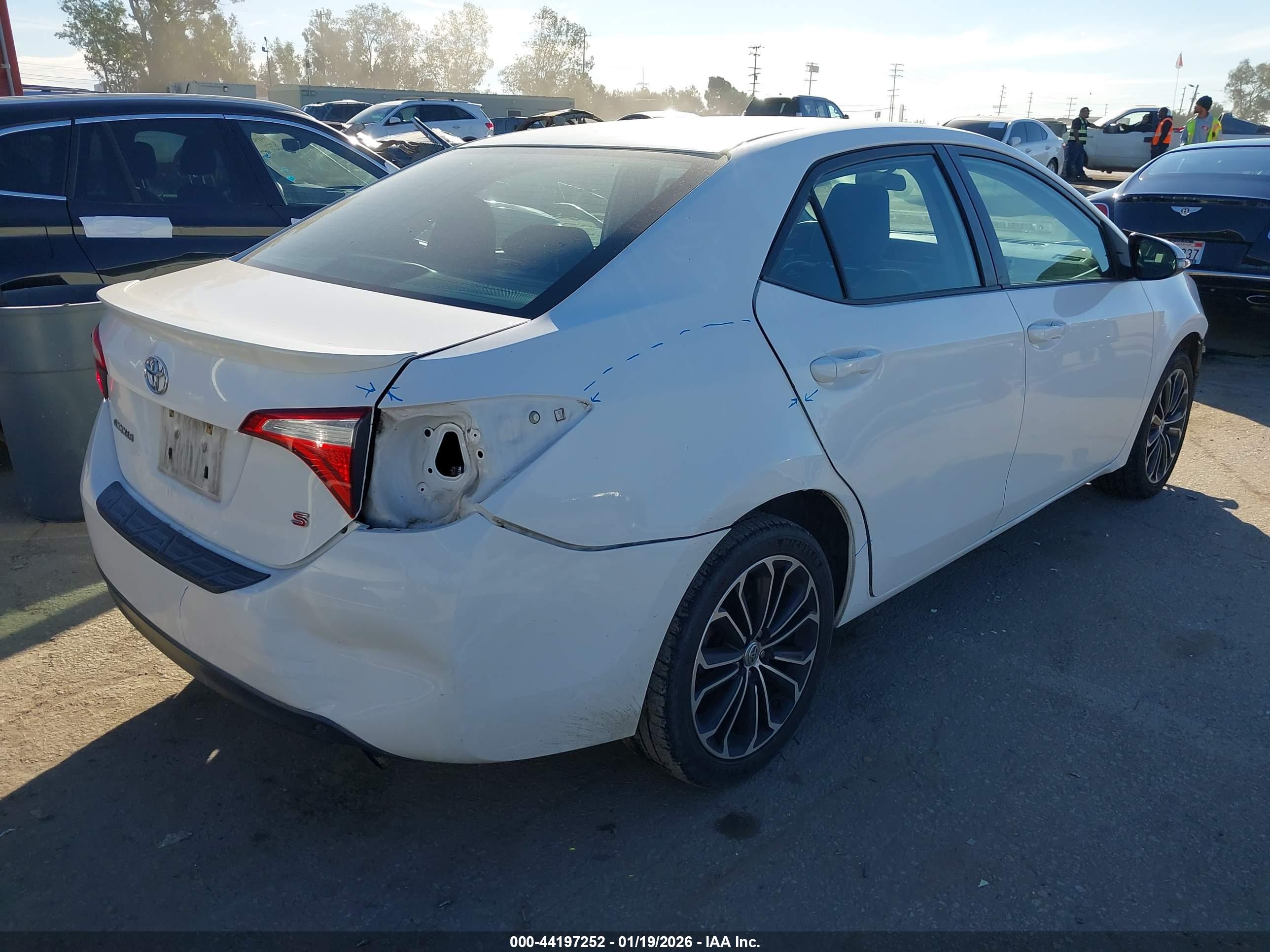TOYOTA COROLLA image 4