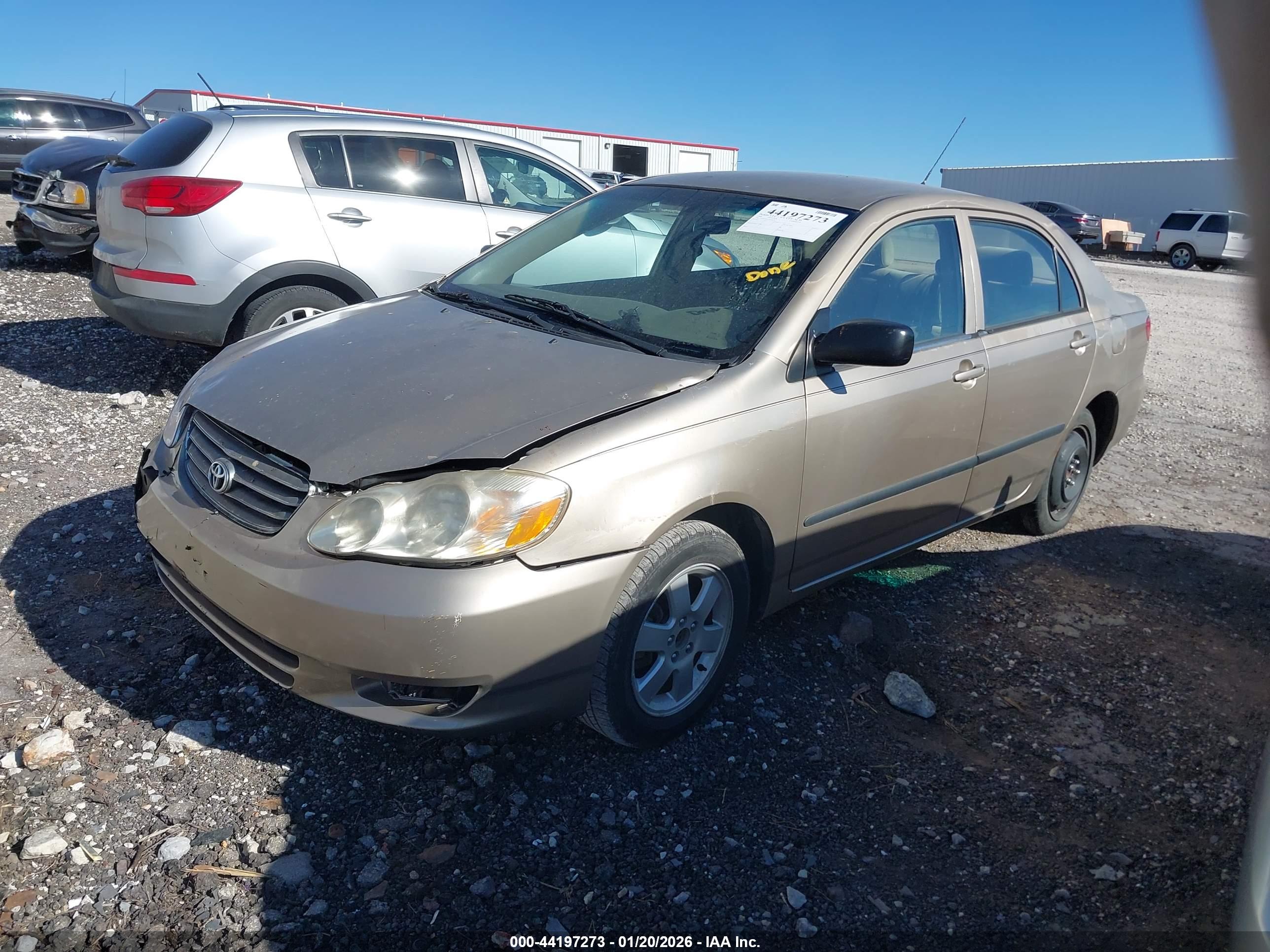 TOYOTA COROLLA image 2