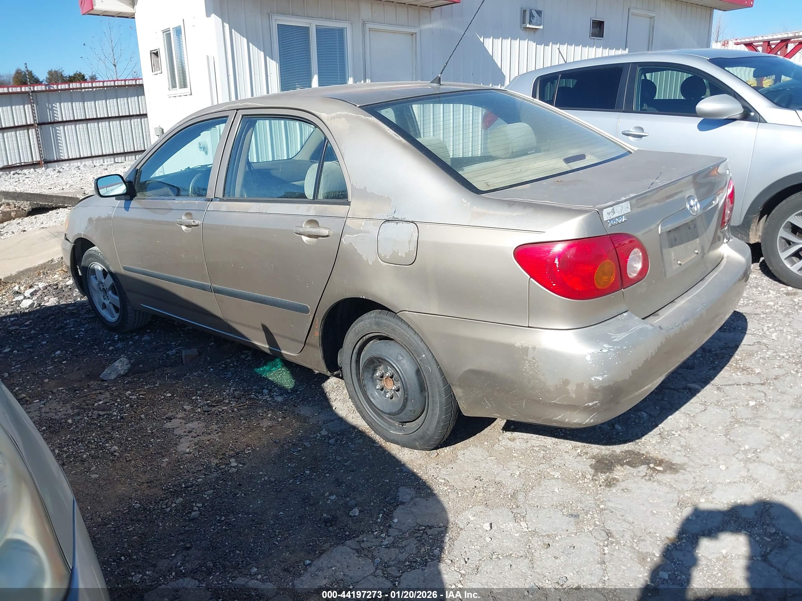 TOYOTA COROLLA image 3