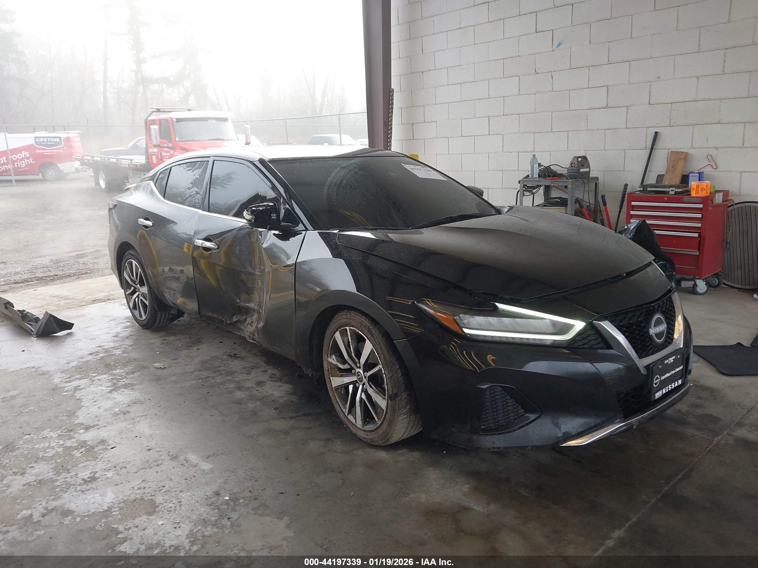 NISSAN MAXIMA image 6