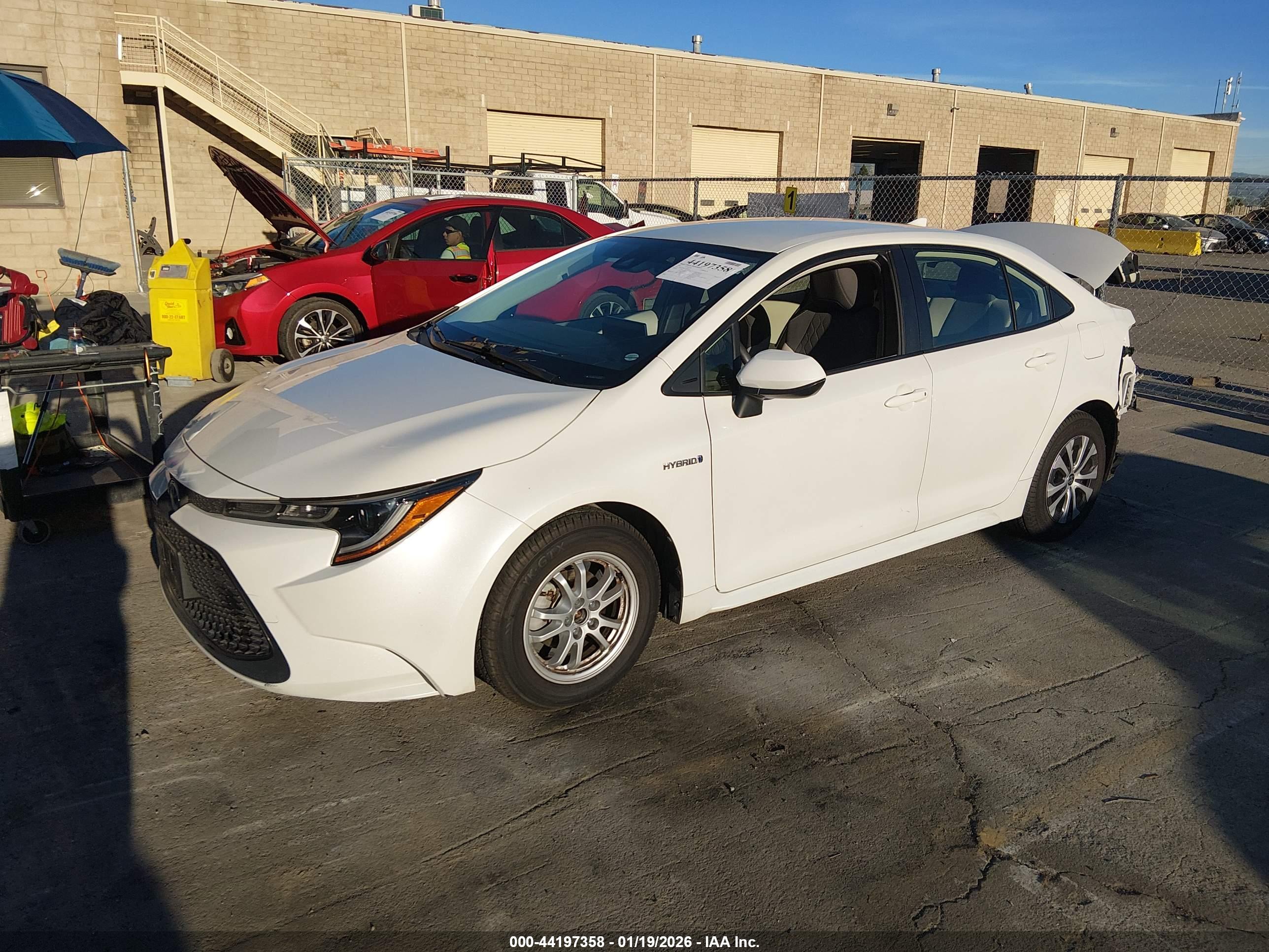 TOYOTA COROLLA image 2