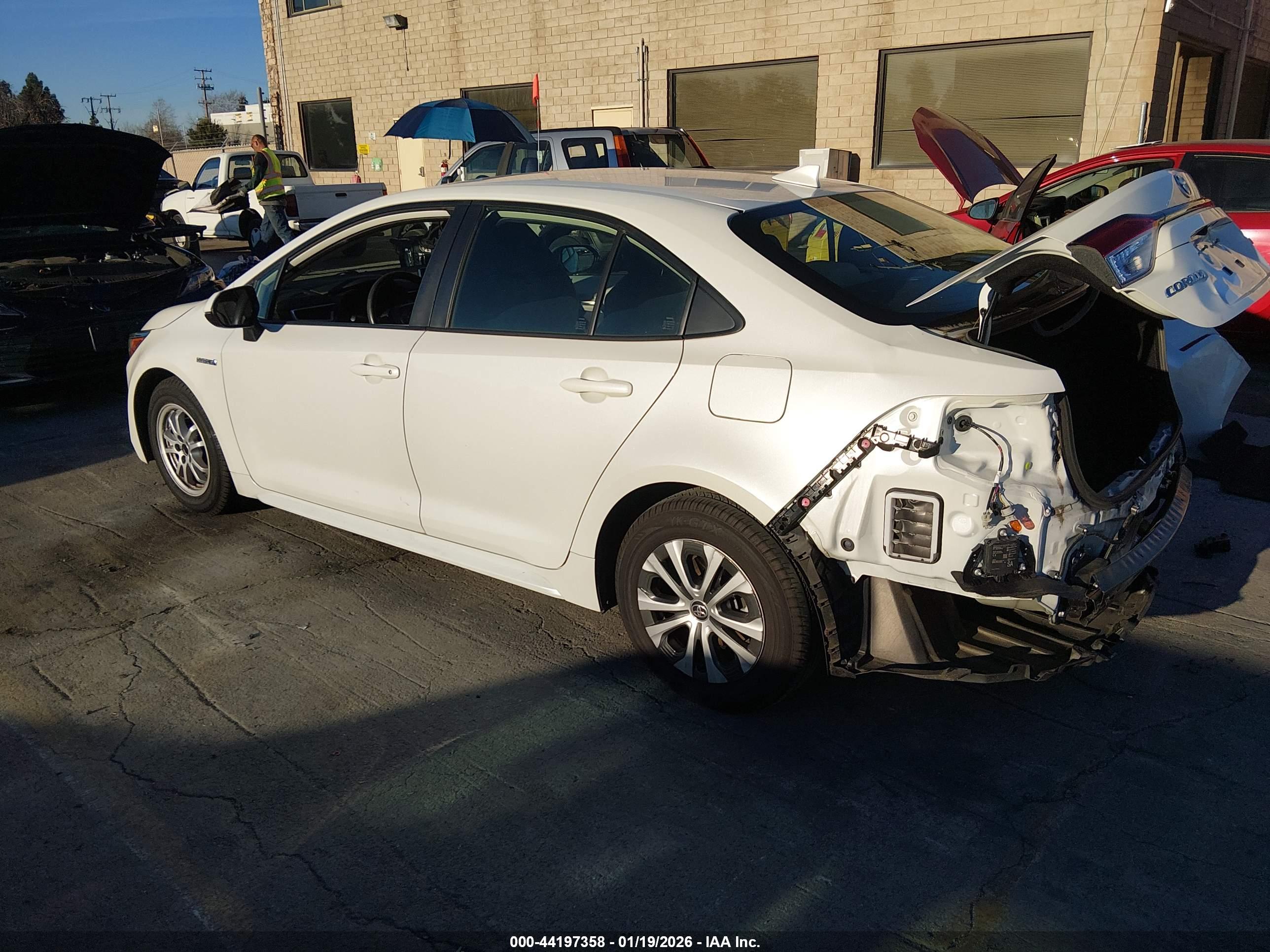 TOYOTA COROLLA image 3