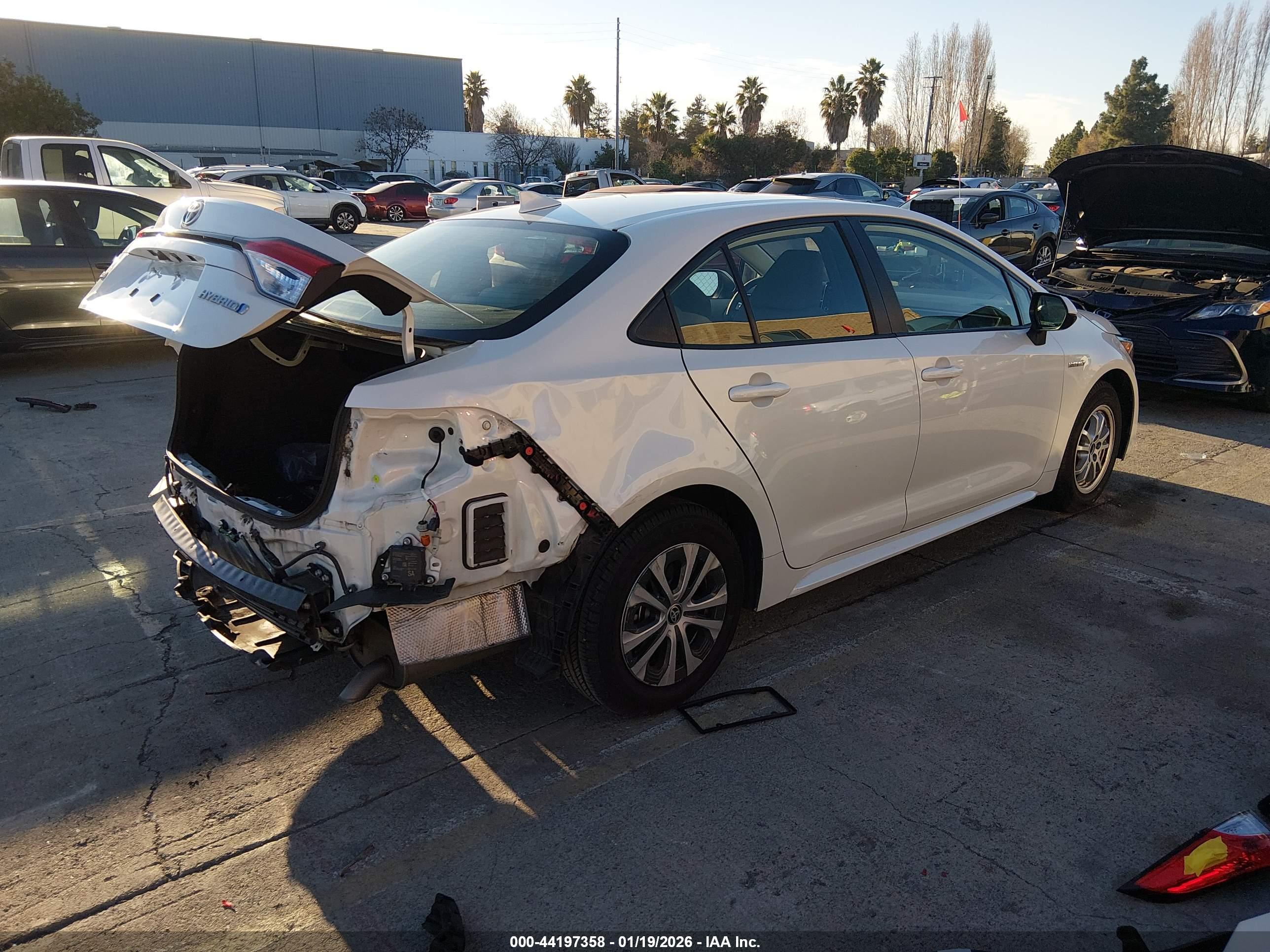 TOYOTA COROLLA image 4