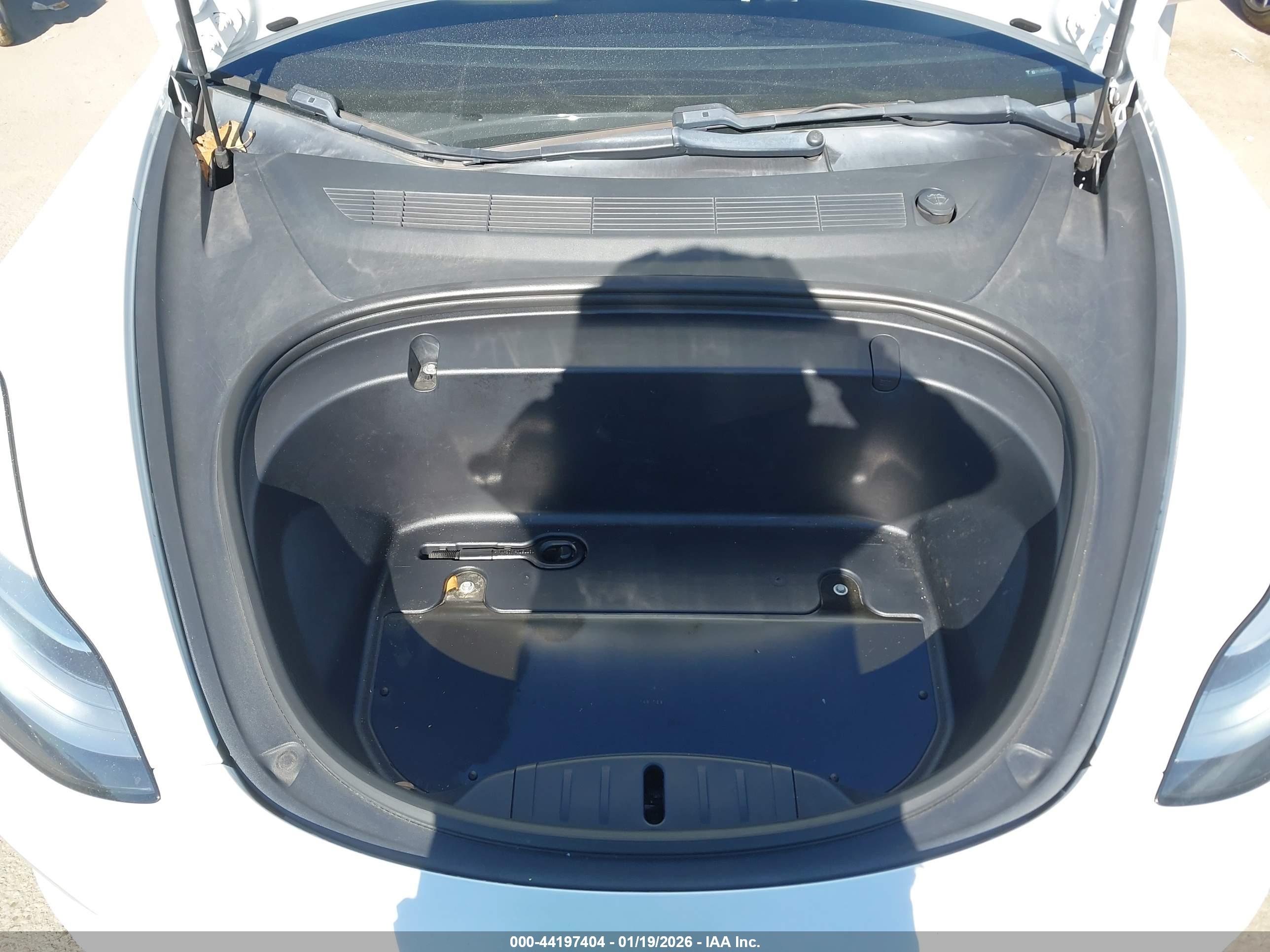 TESLA MODEL image 10