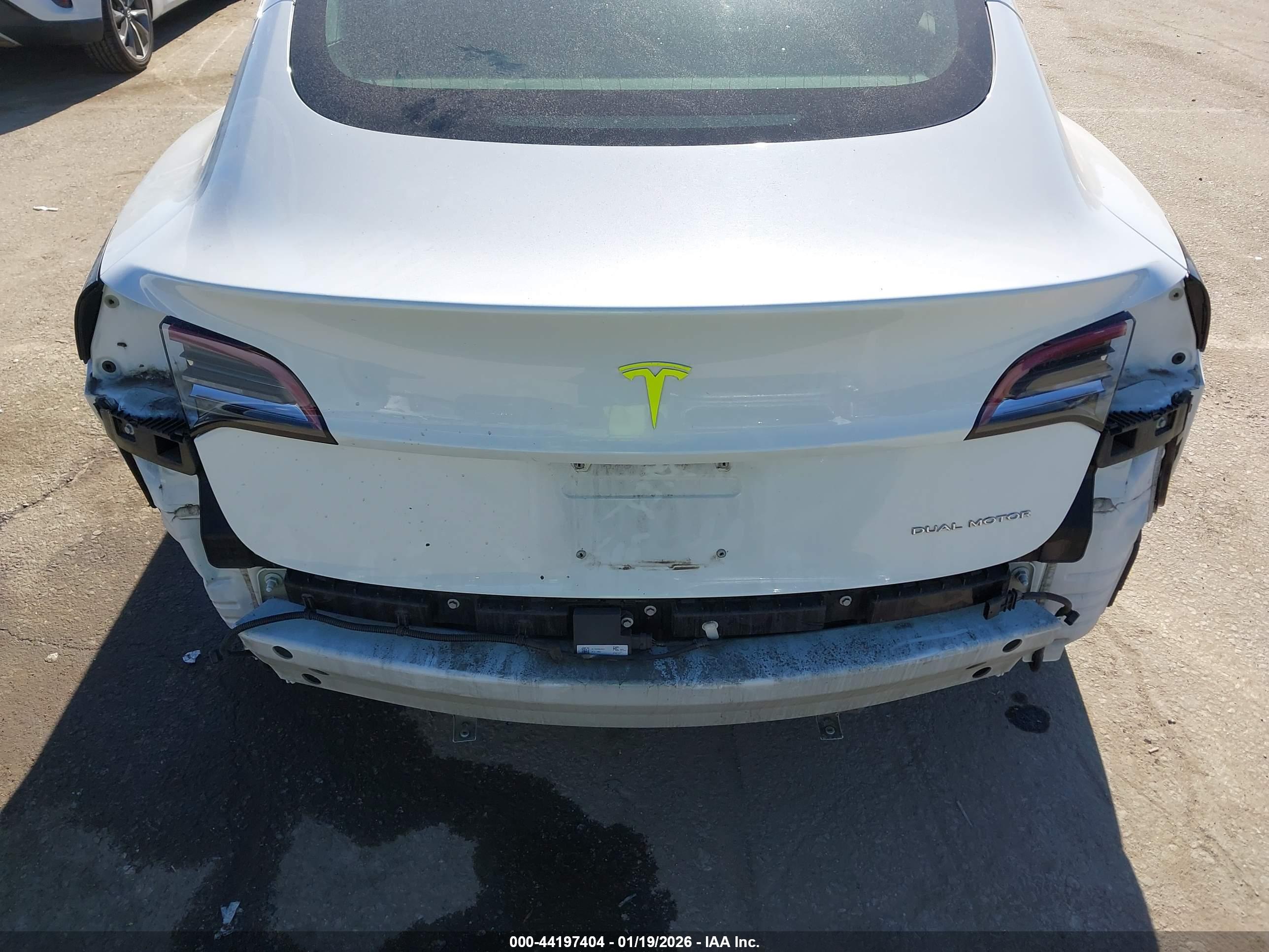 TESLA MODEL image 6