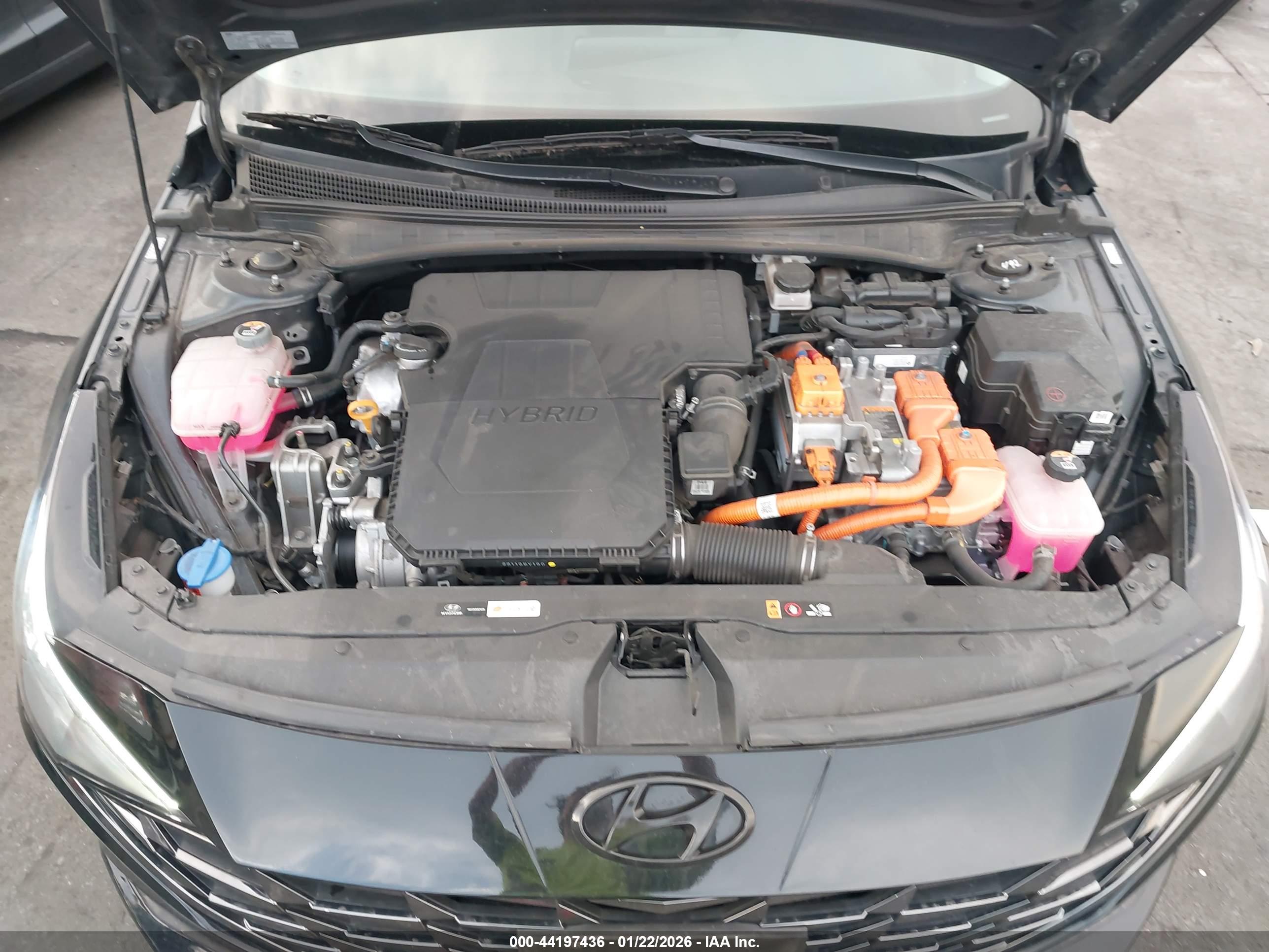 HYUNDAI ELANTRA image 10