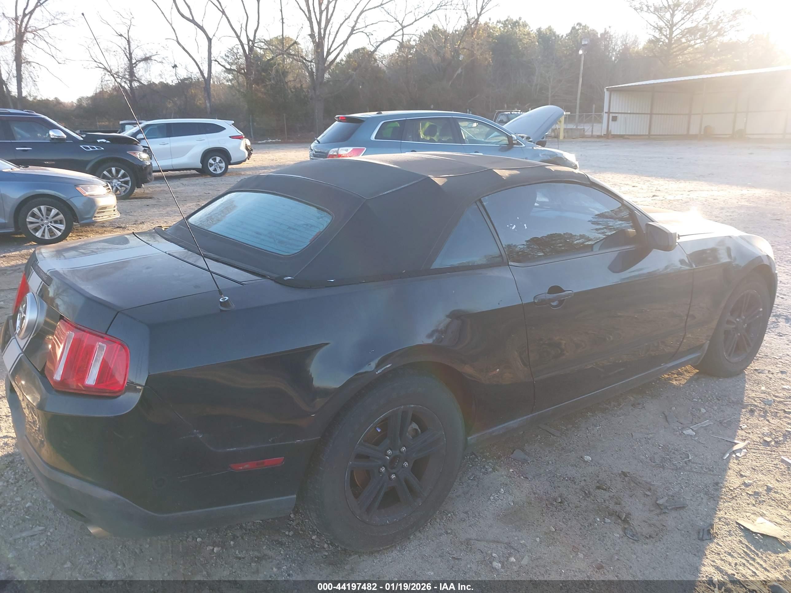 FORD MUSTANG image 6