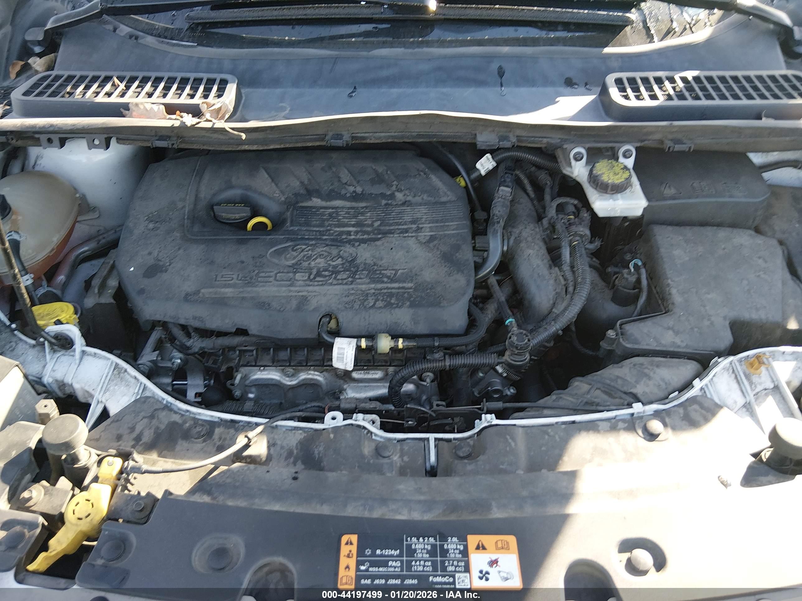 FORD ESCAPE image 10
