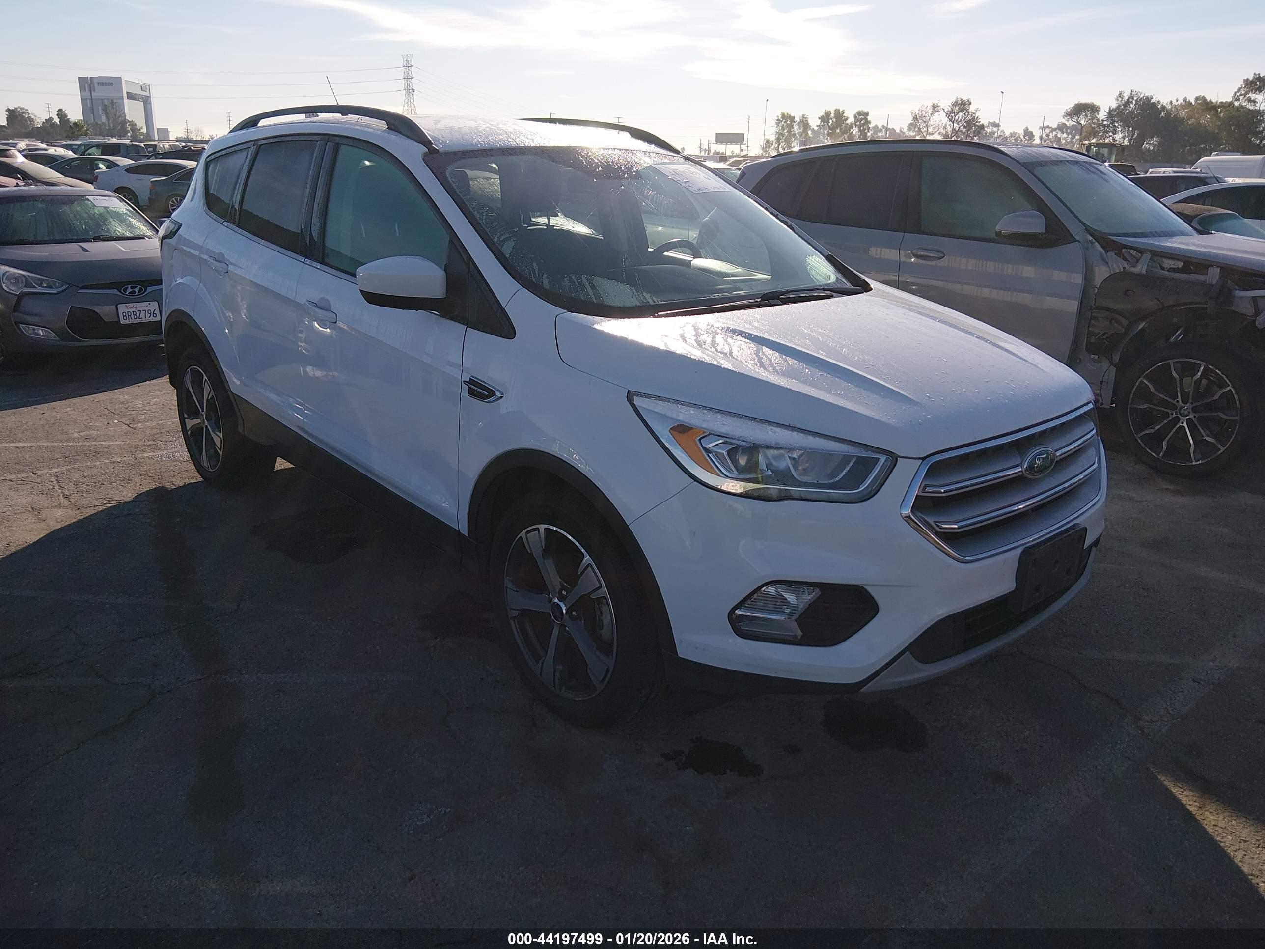 FORD ESCAPE image 6