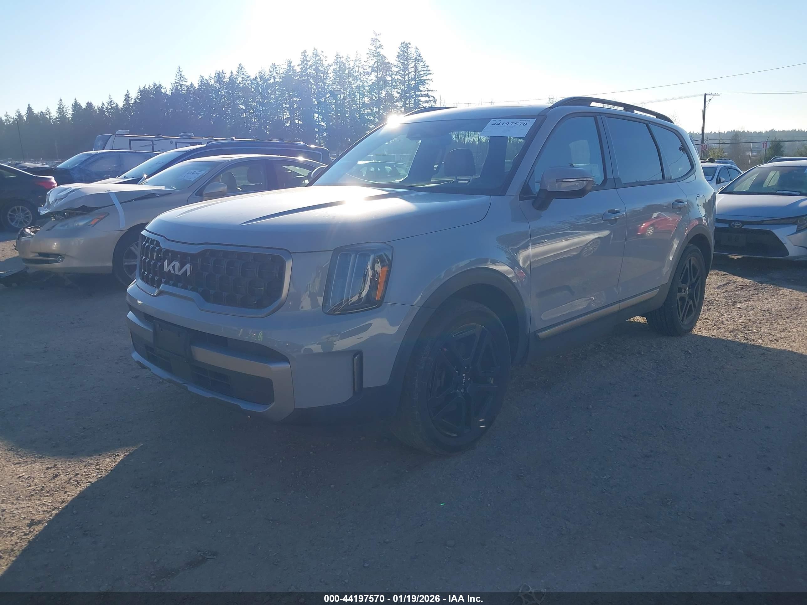 KIA TELLURIDE image 2