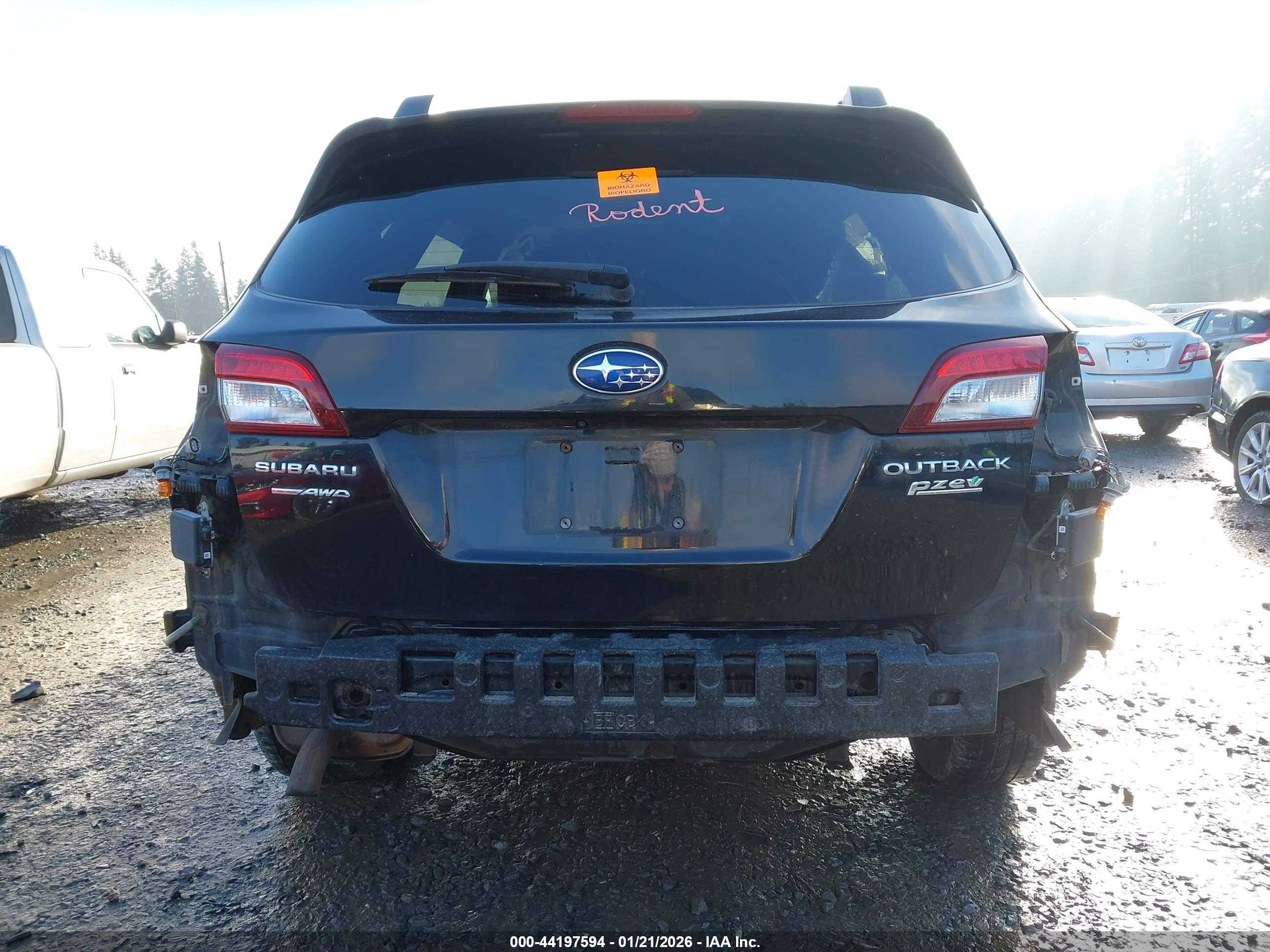 SUBARU OUTBACK image 6