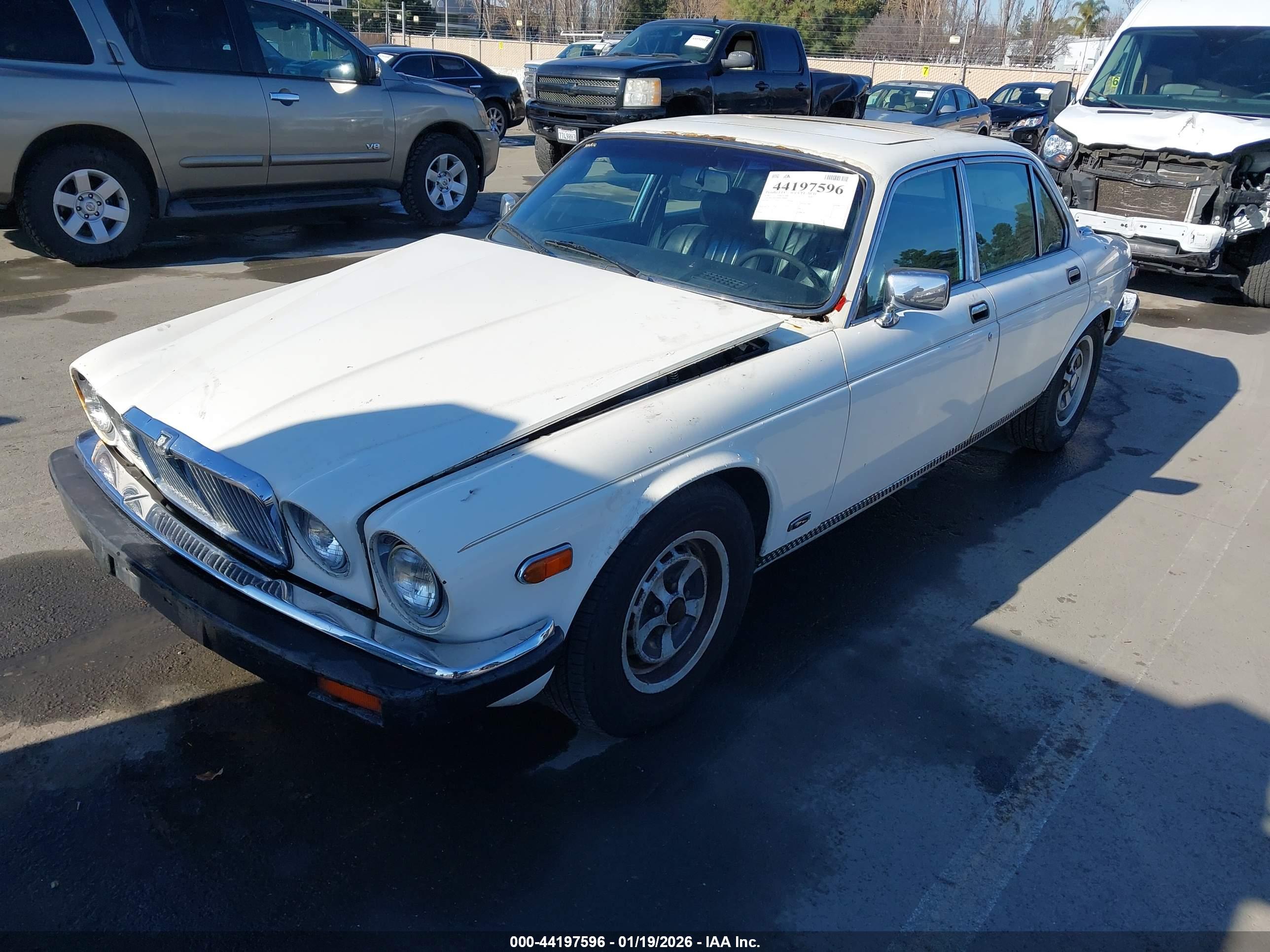 JAGUAR XJ6 image 2