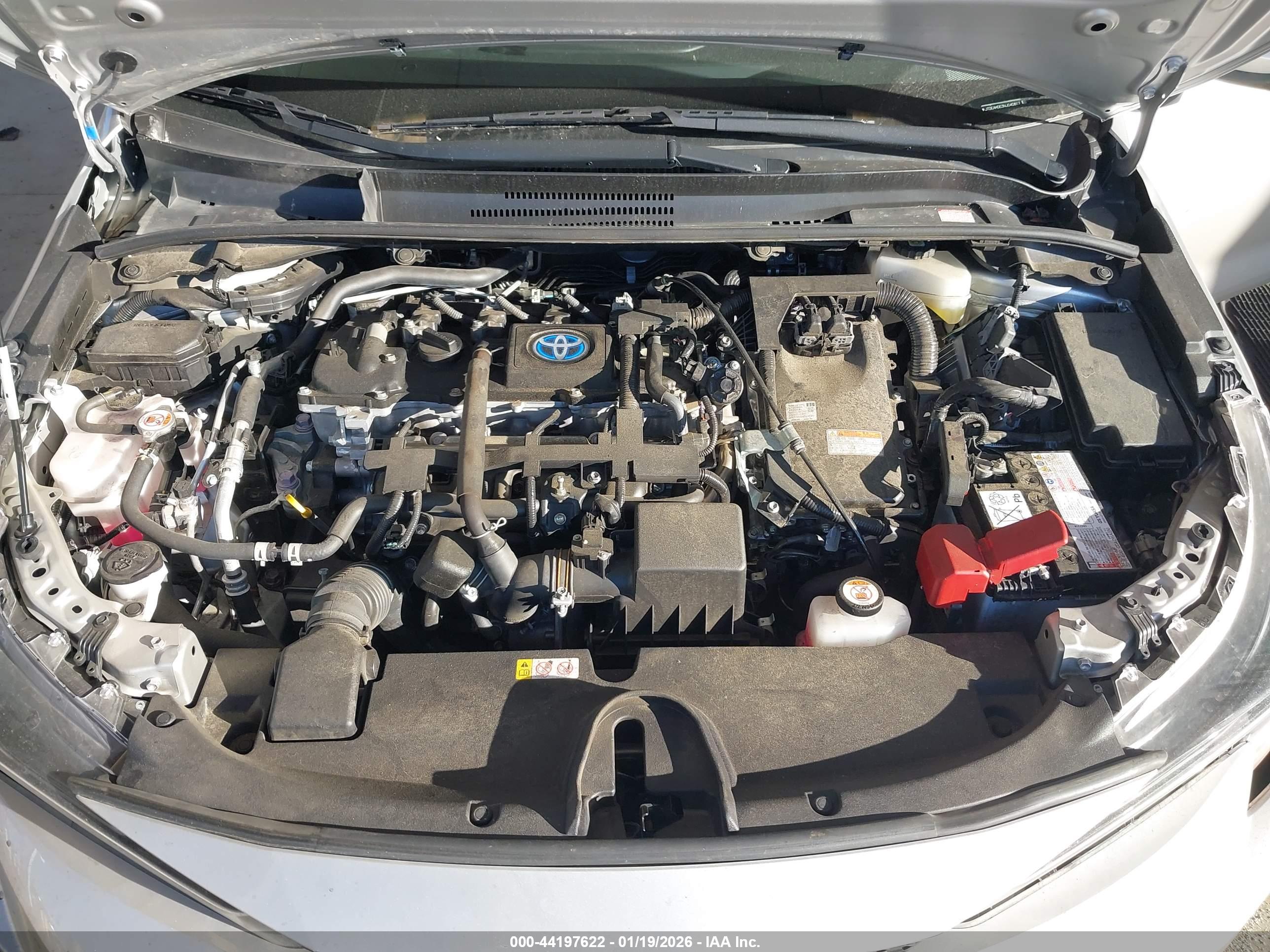 TOYOTA COROLLA image 10