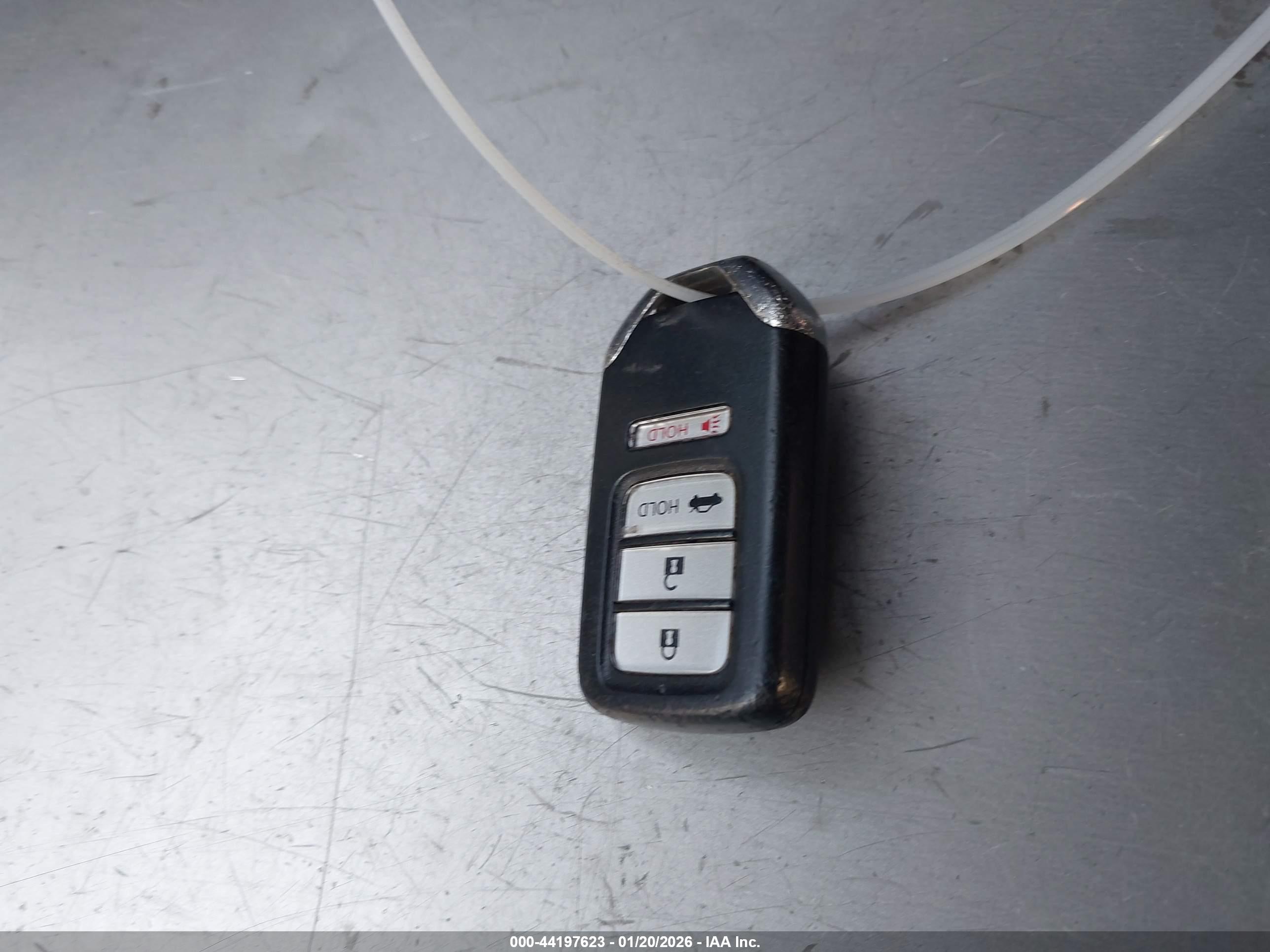 HONDA ACCORD image 11