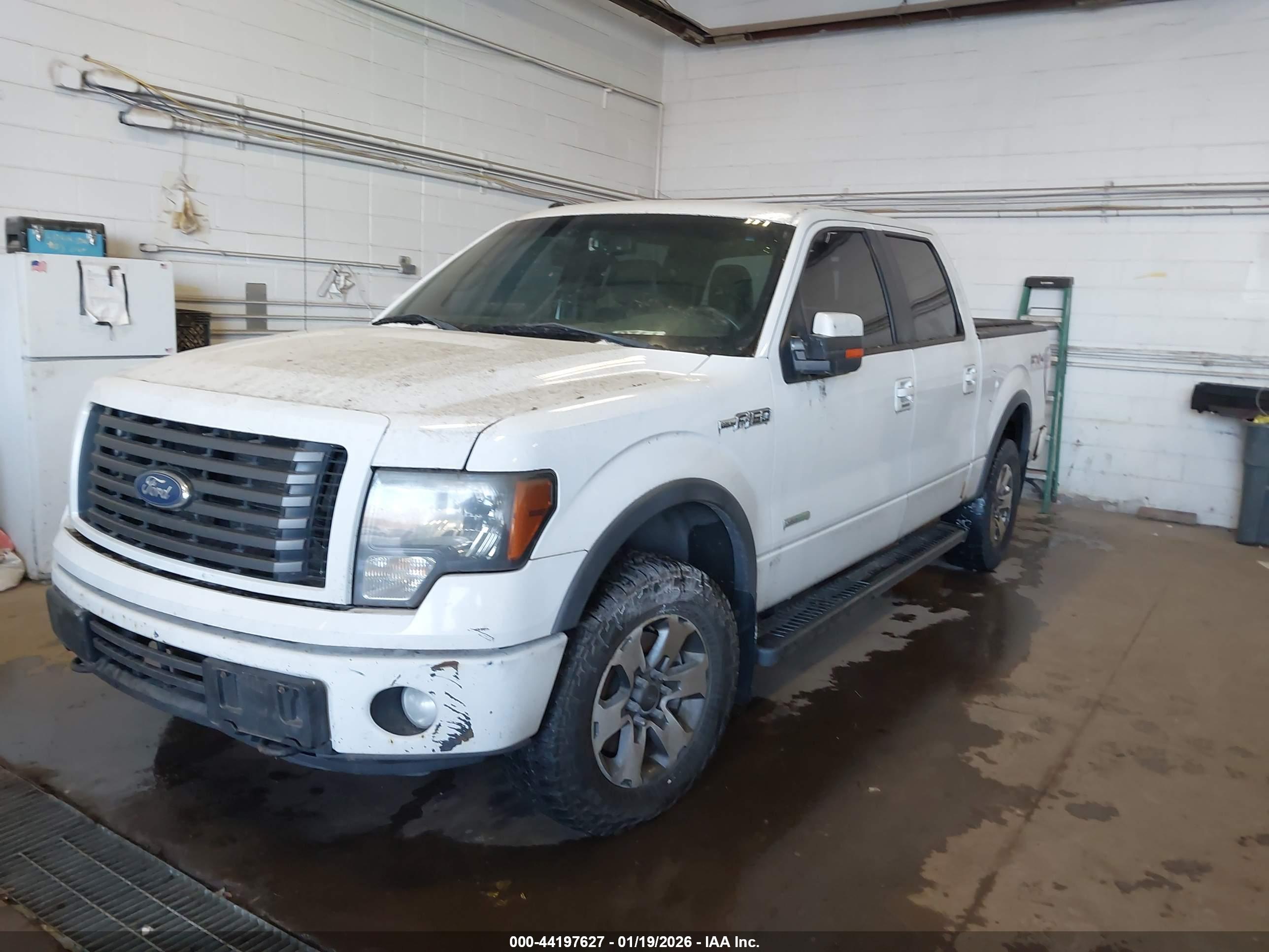FORD F-150 image 2