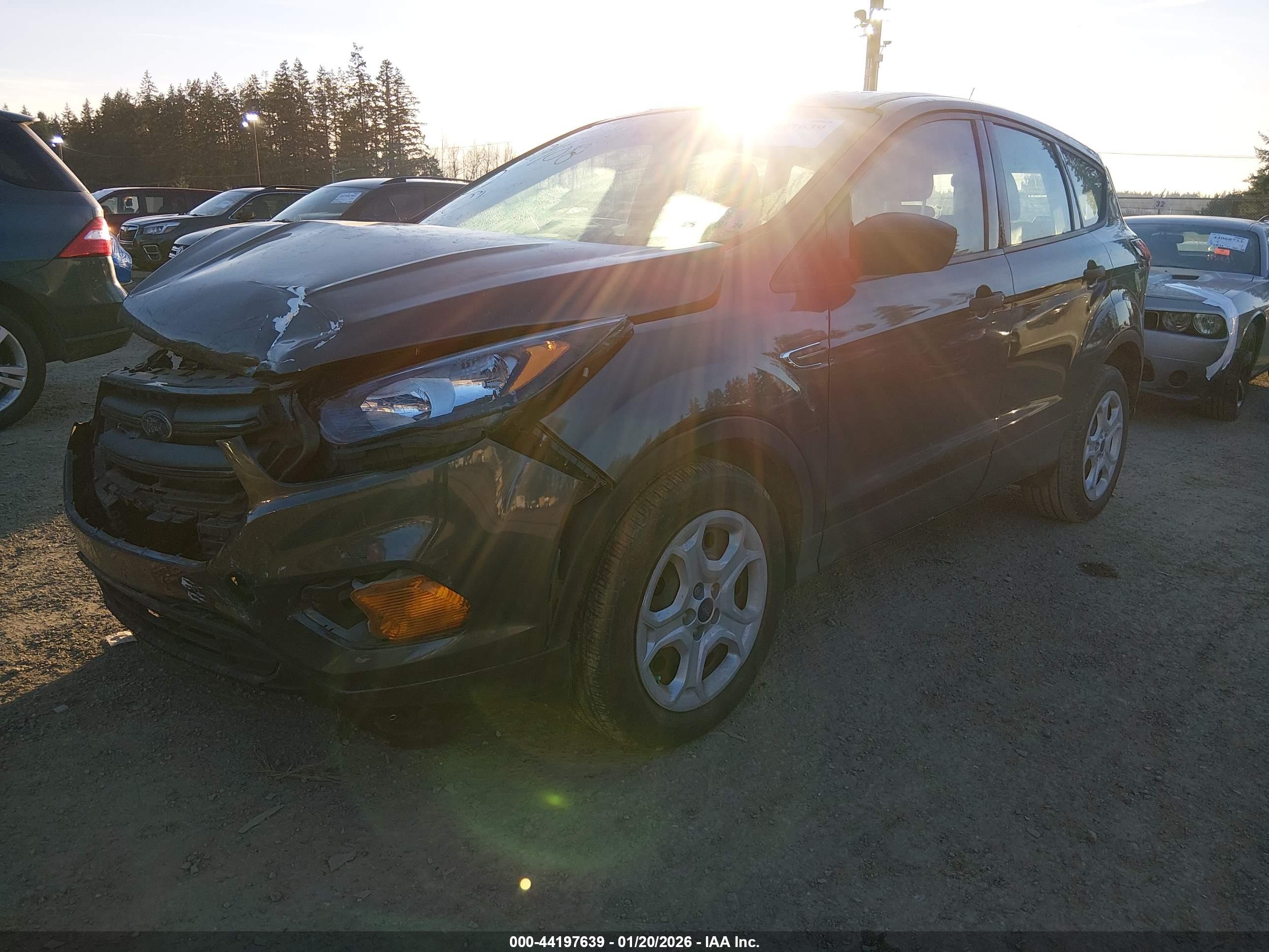 FORD ESCAPE image 2