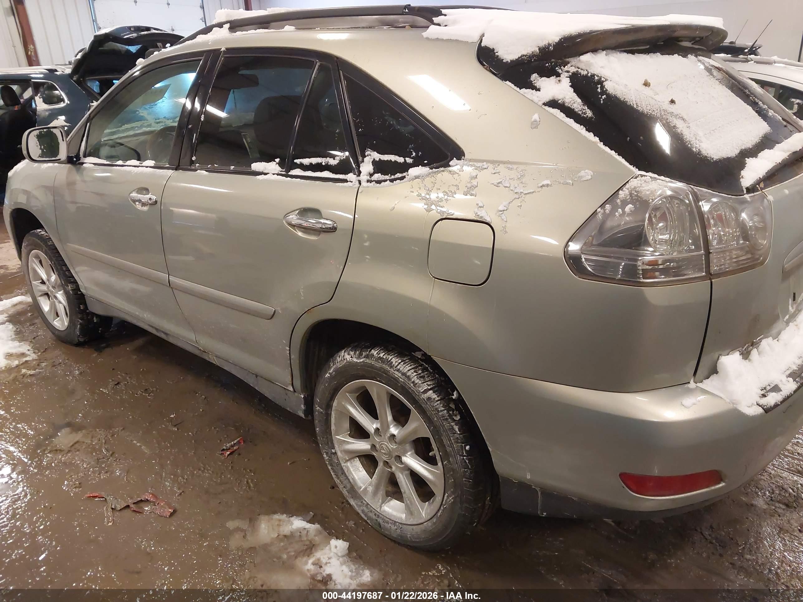 LEXUS RX image 3