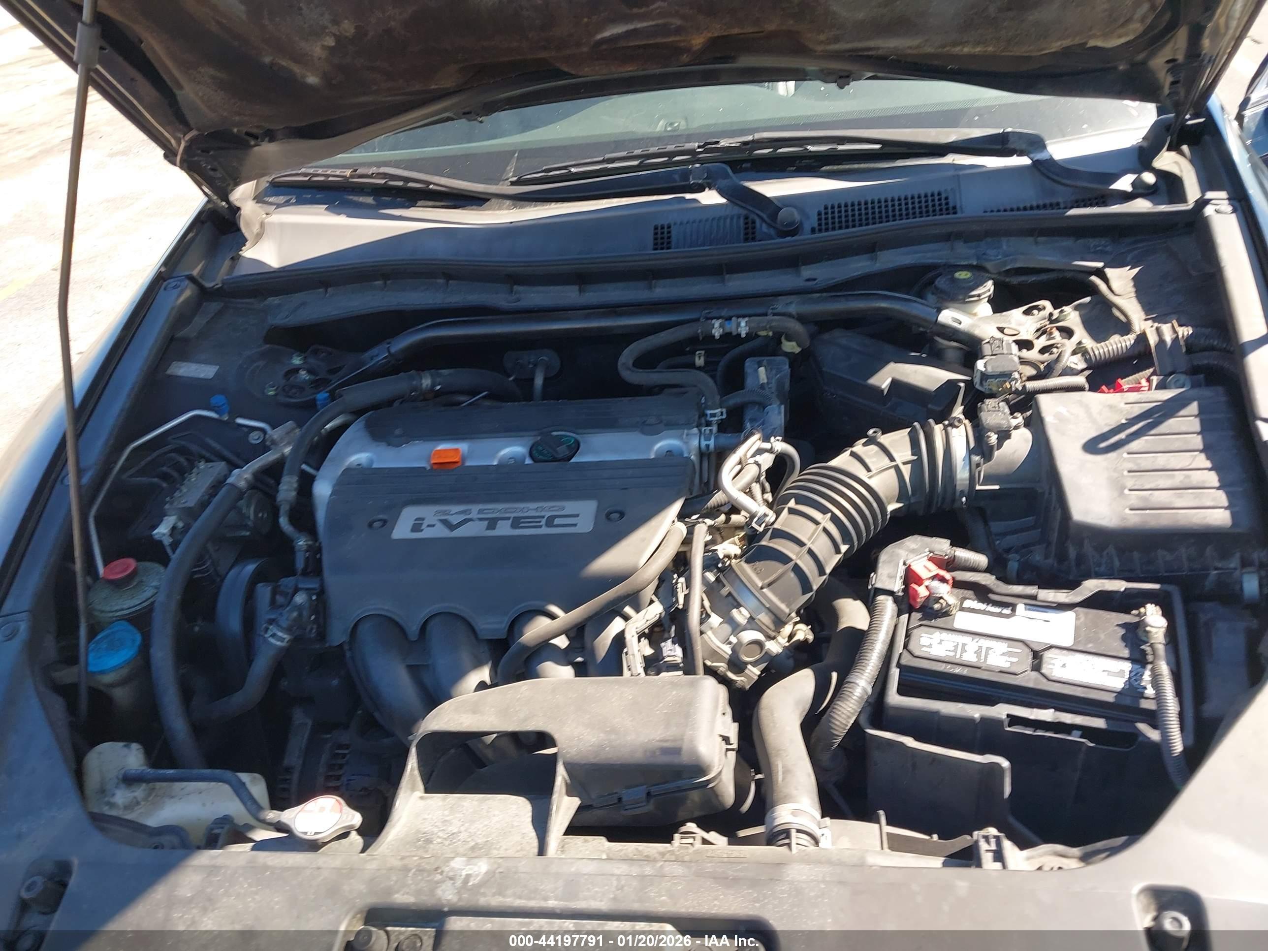 HONDA ACCORD image 10