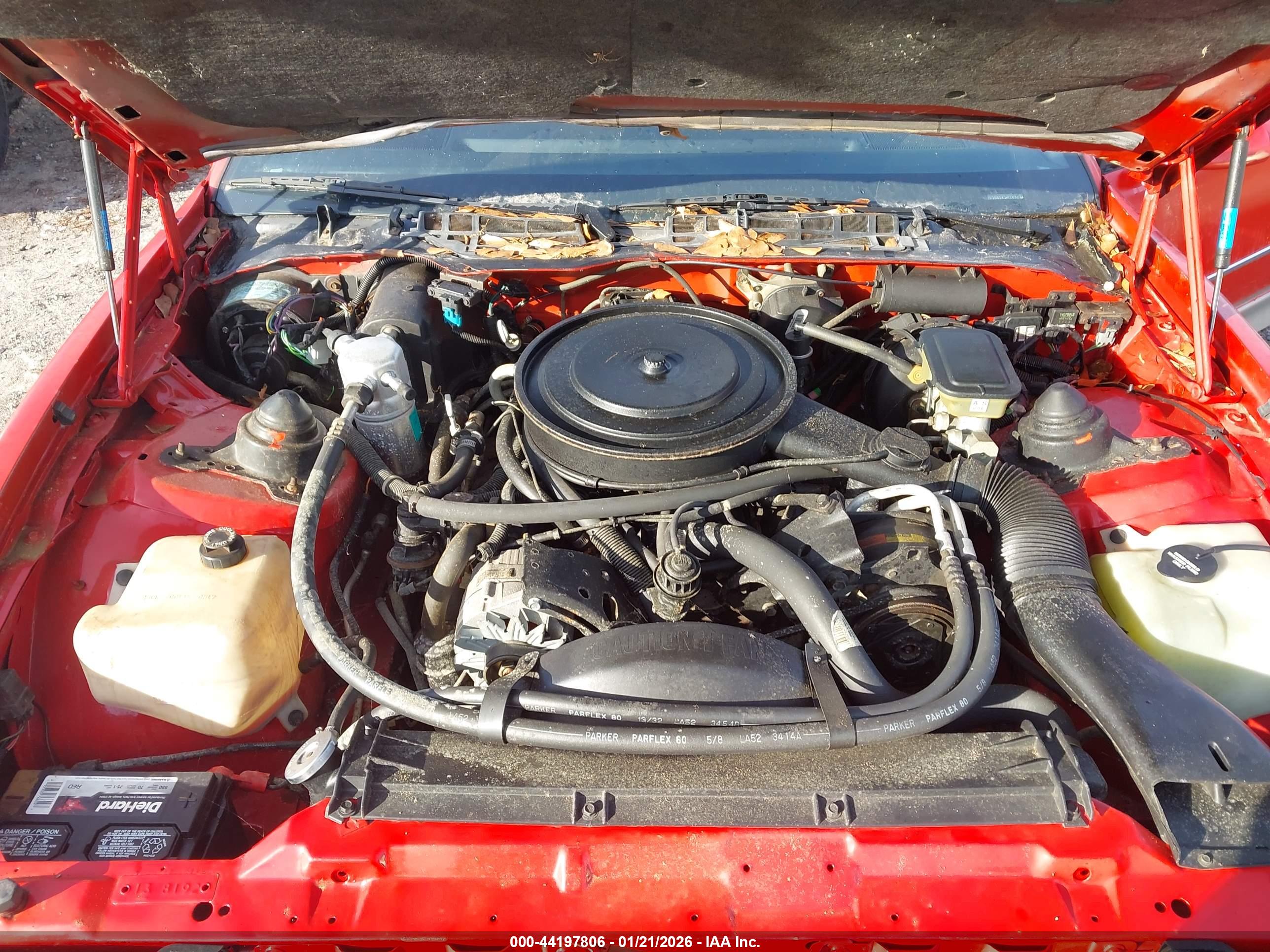 PONTIAC FIREBIRD image 10