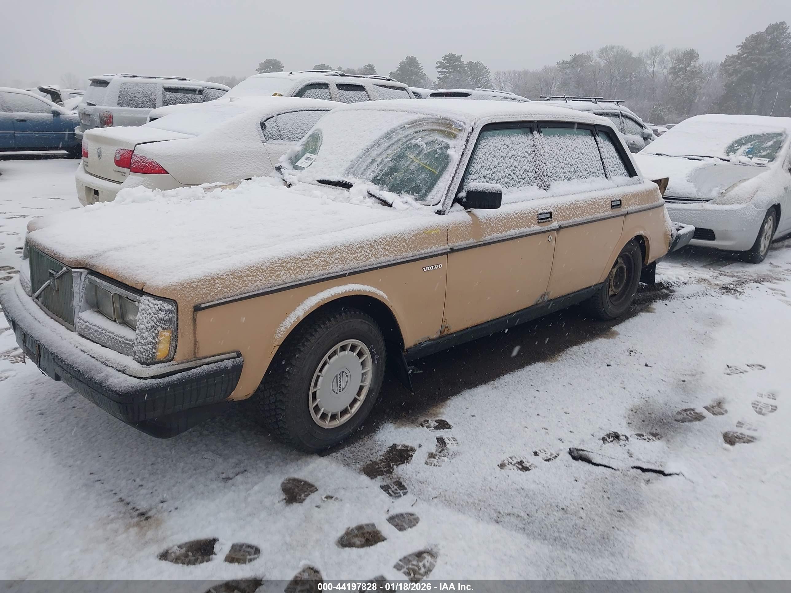 VOLVO 244 image 2