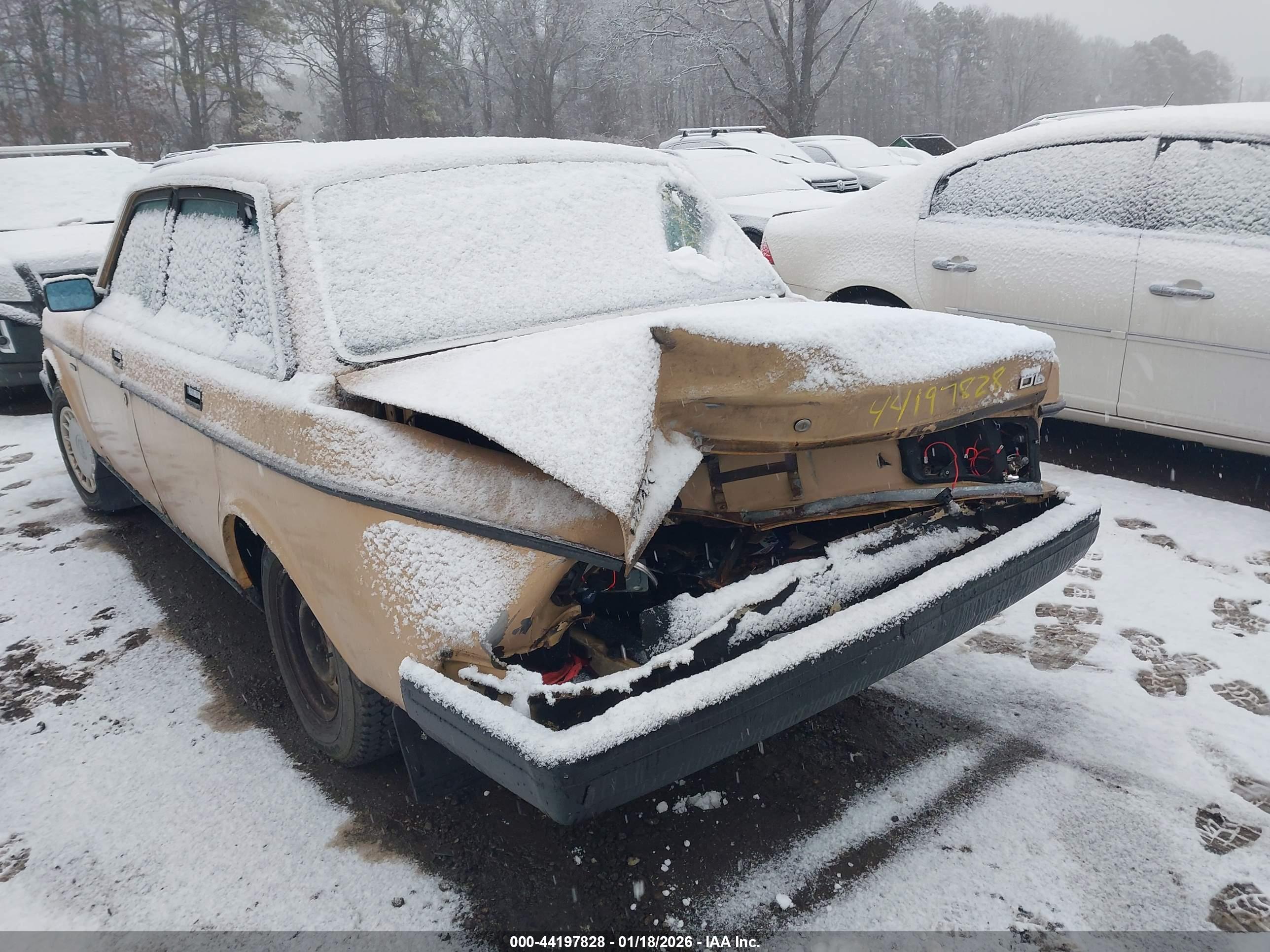 VOLVO 244 image 6