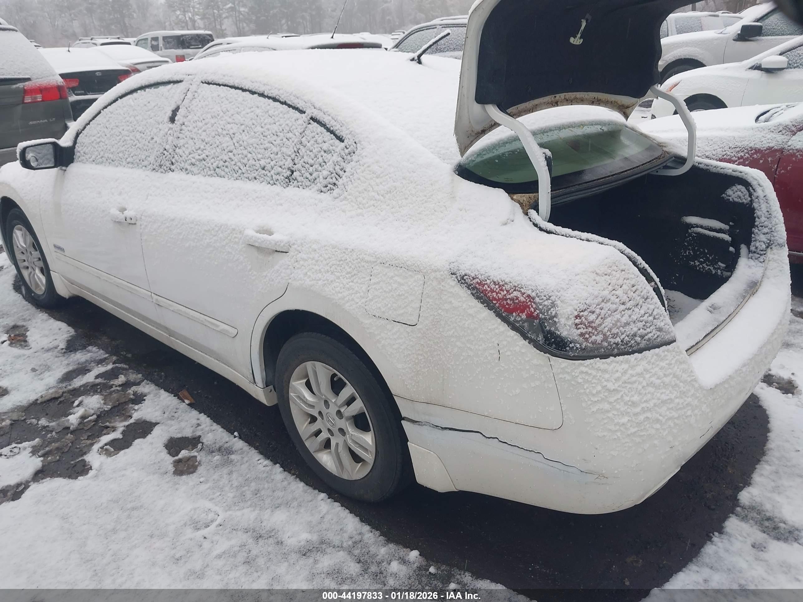 NISSAN ALTIMA image 3