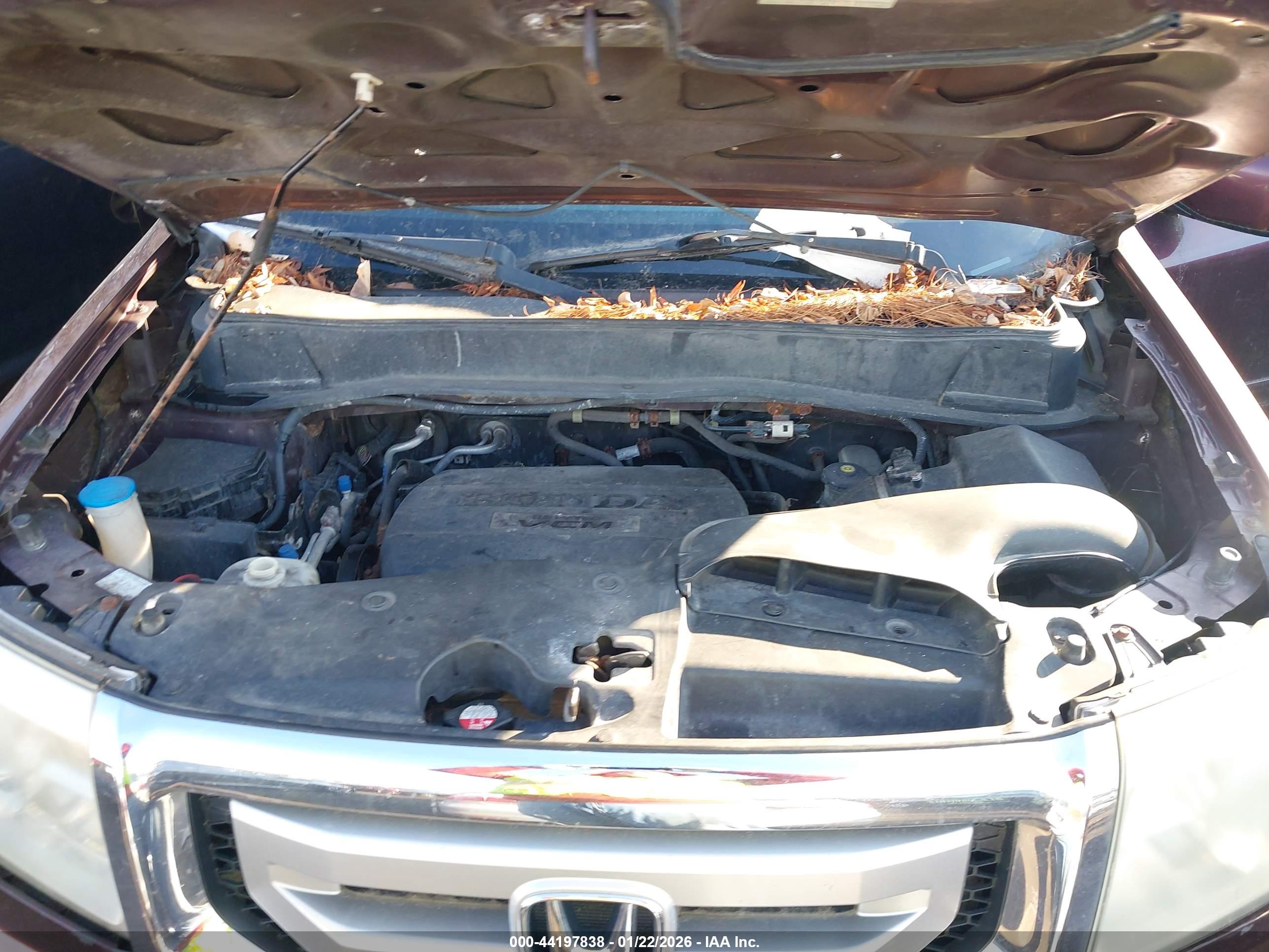 HONDA PILOT image 10