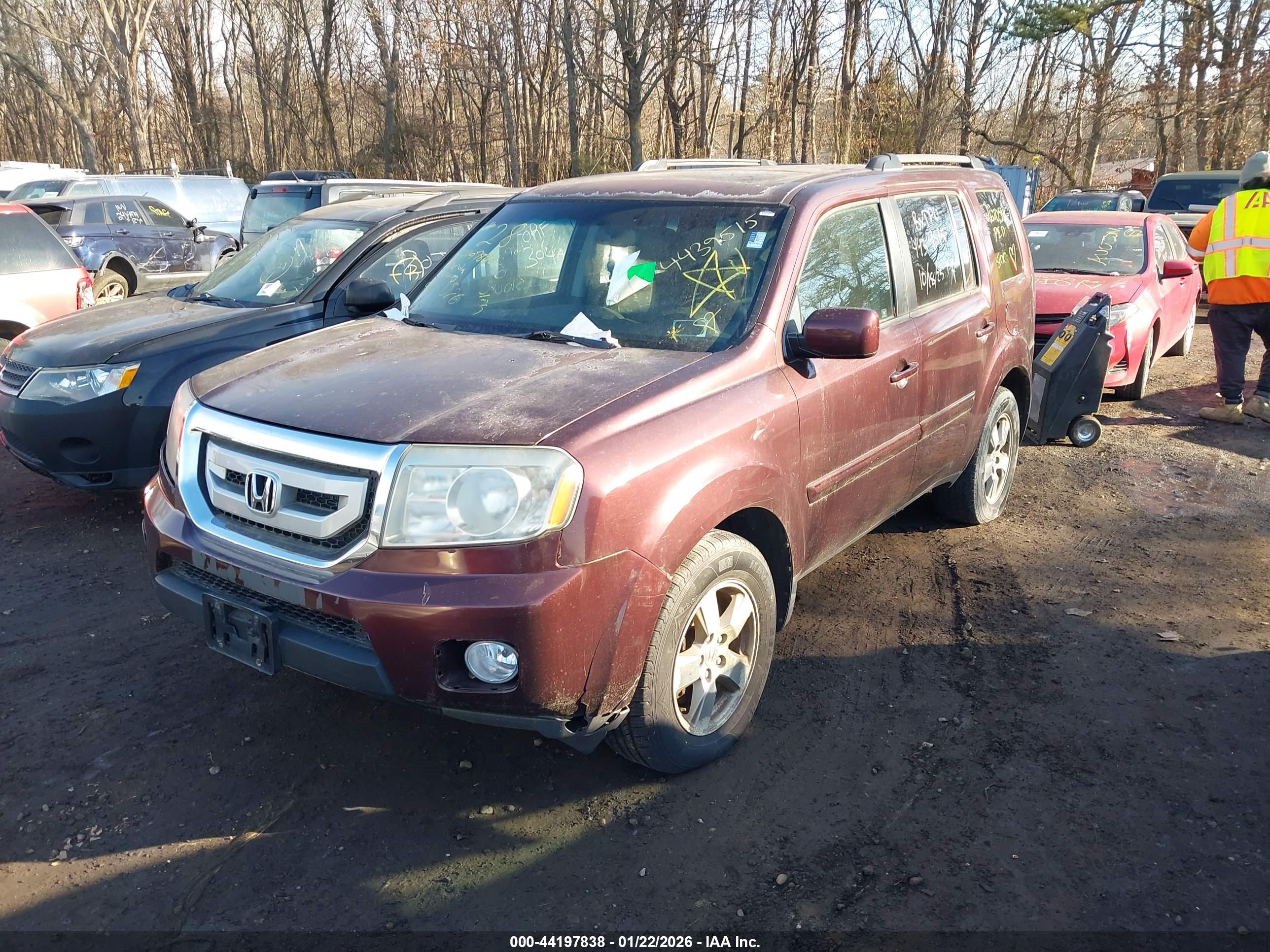 HONDA PILOT image 2