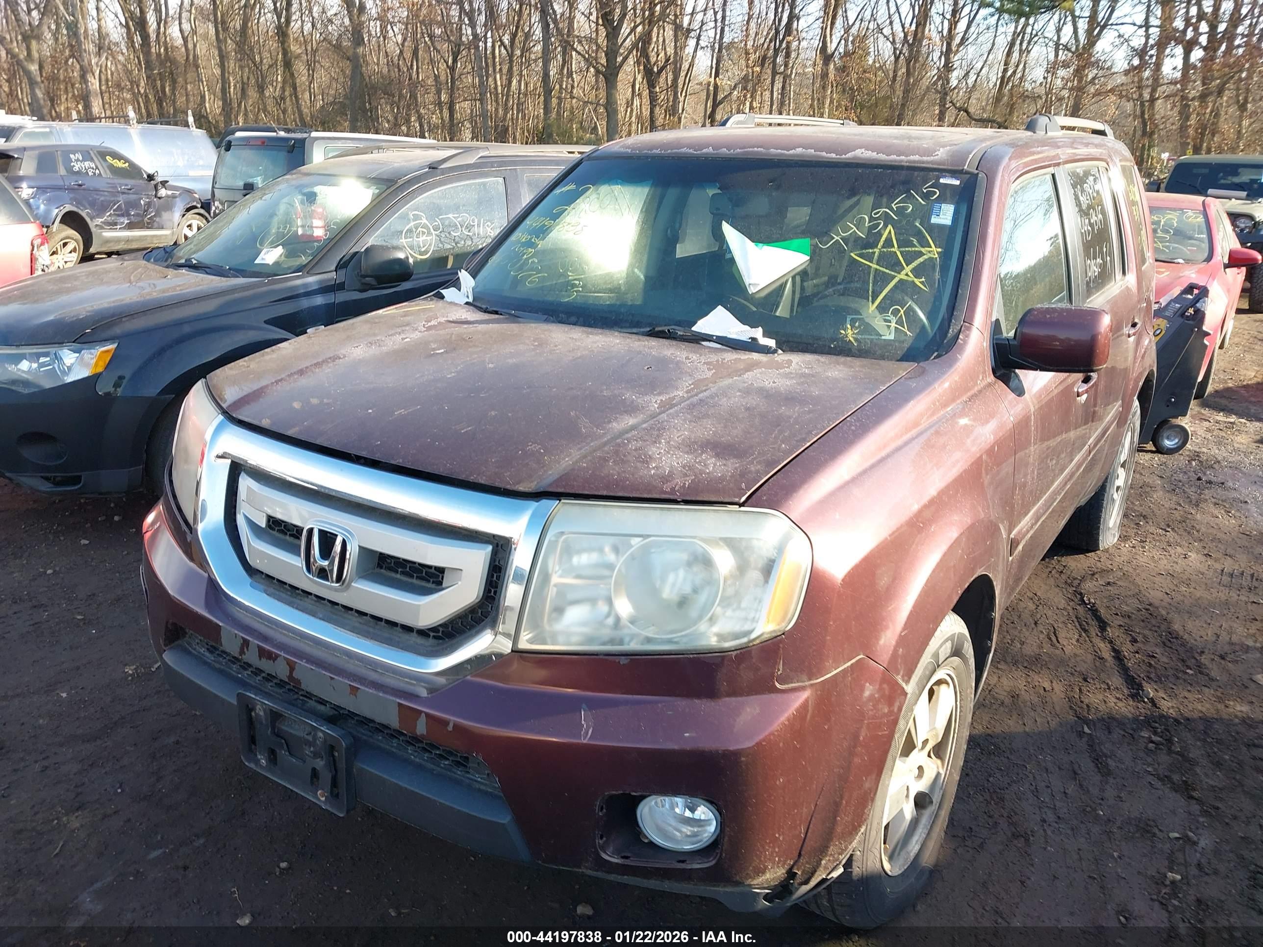 HONDA PILOT image 6