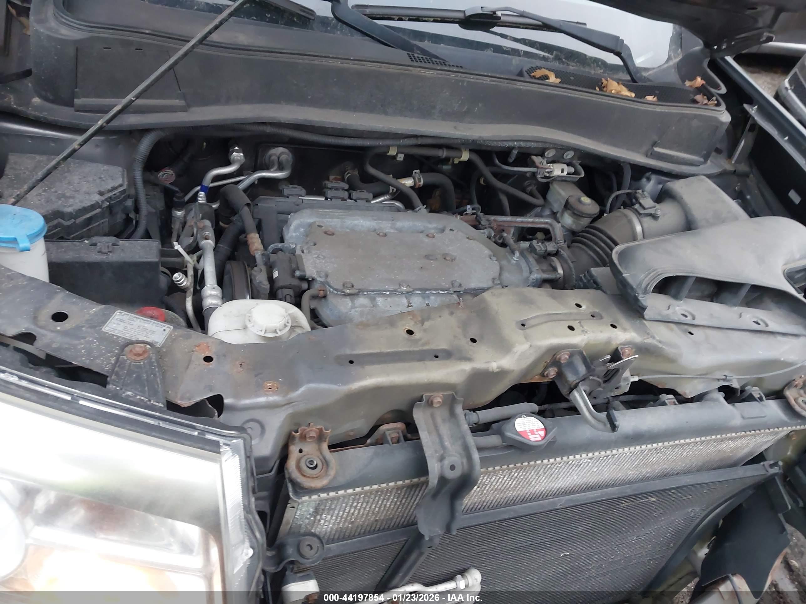 HONDA PILOT image 10