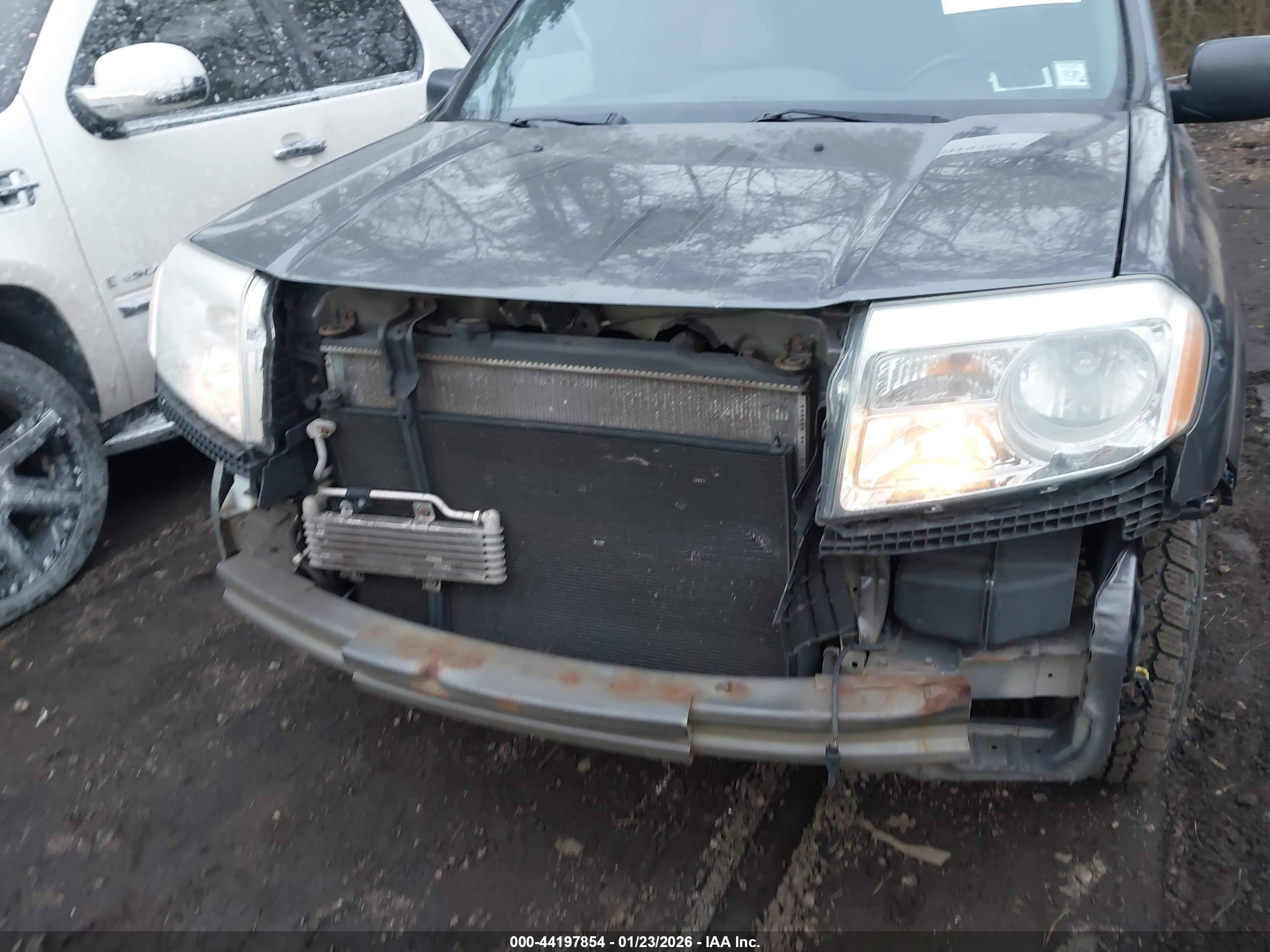 HONDA PILOT image 6