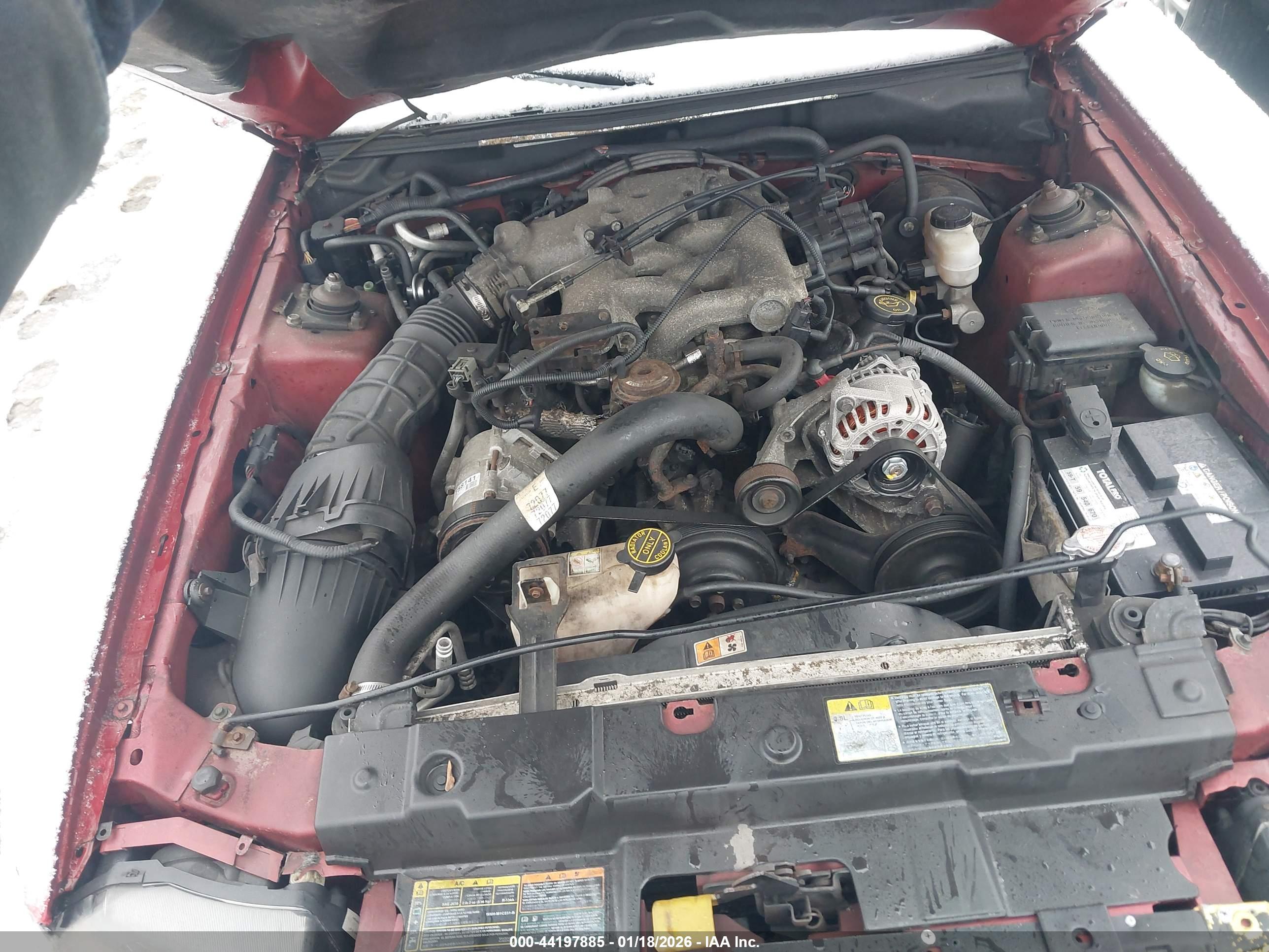 FORD MUSTANG image 10