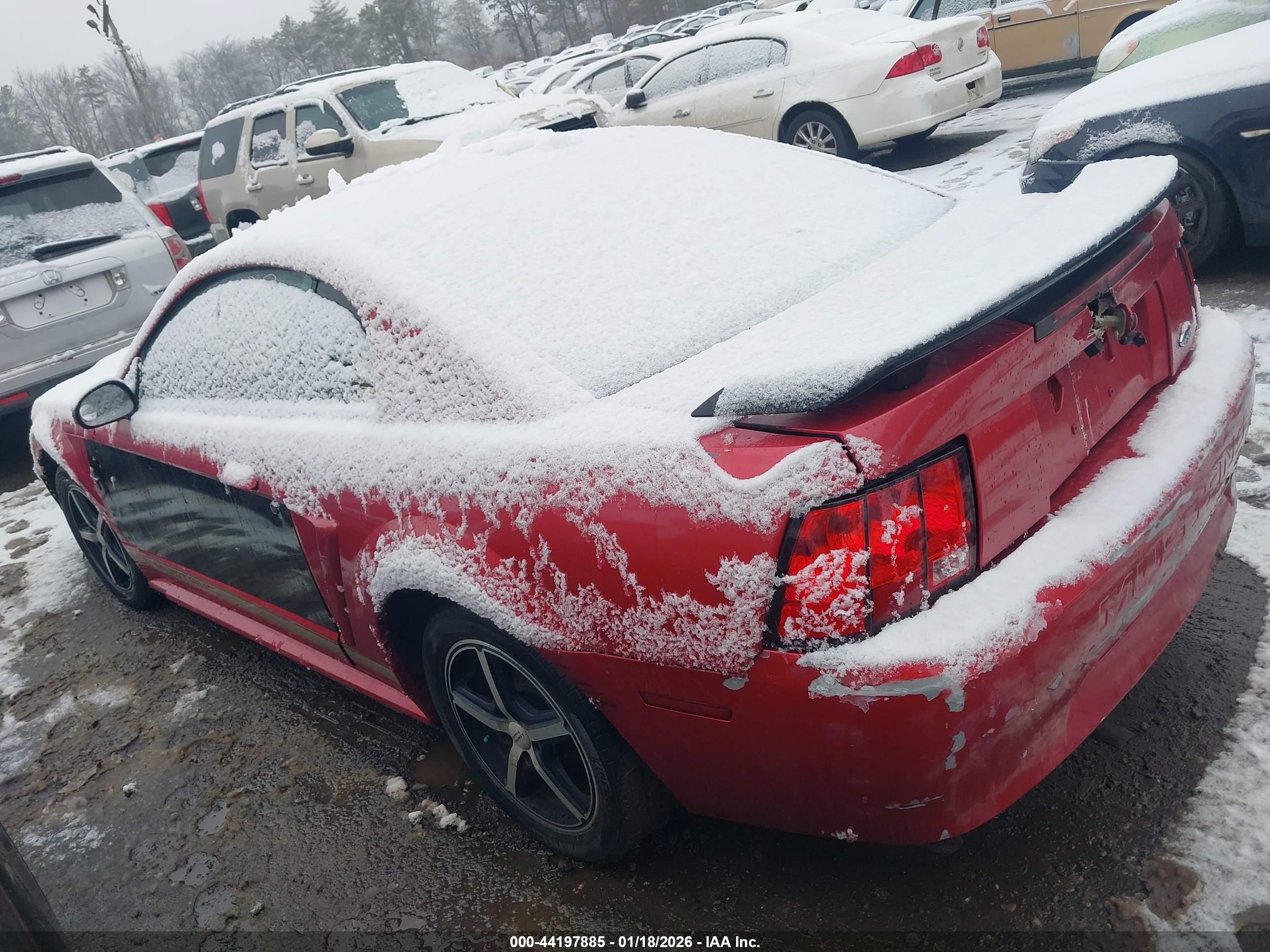 FORD MUSTANG image 3